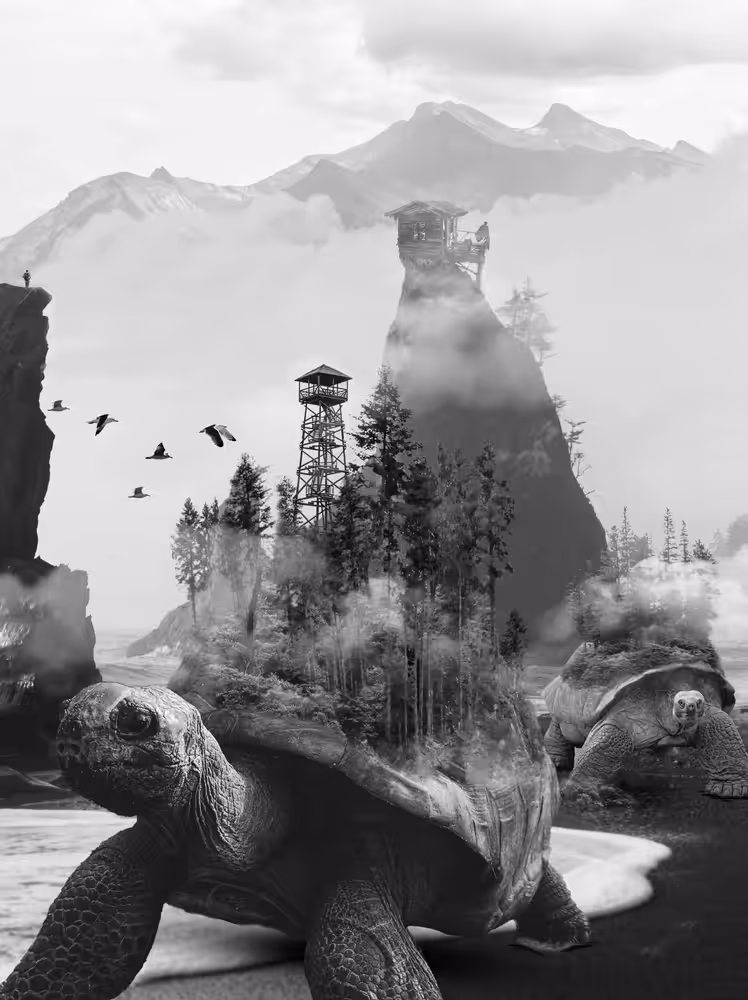 Tortoise Cove