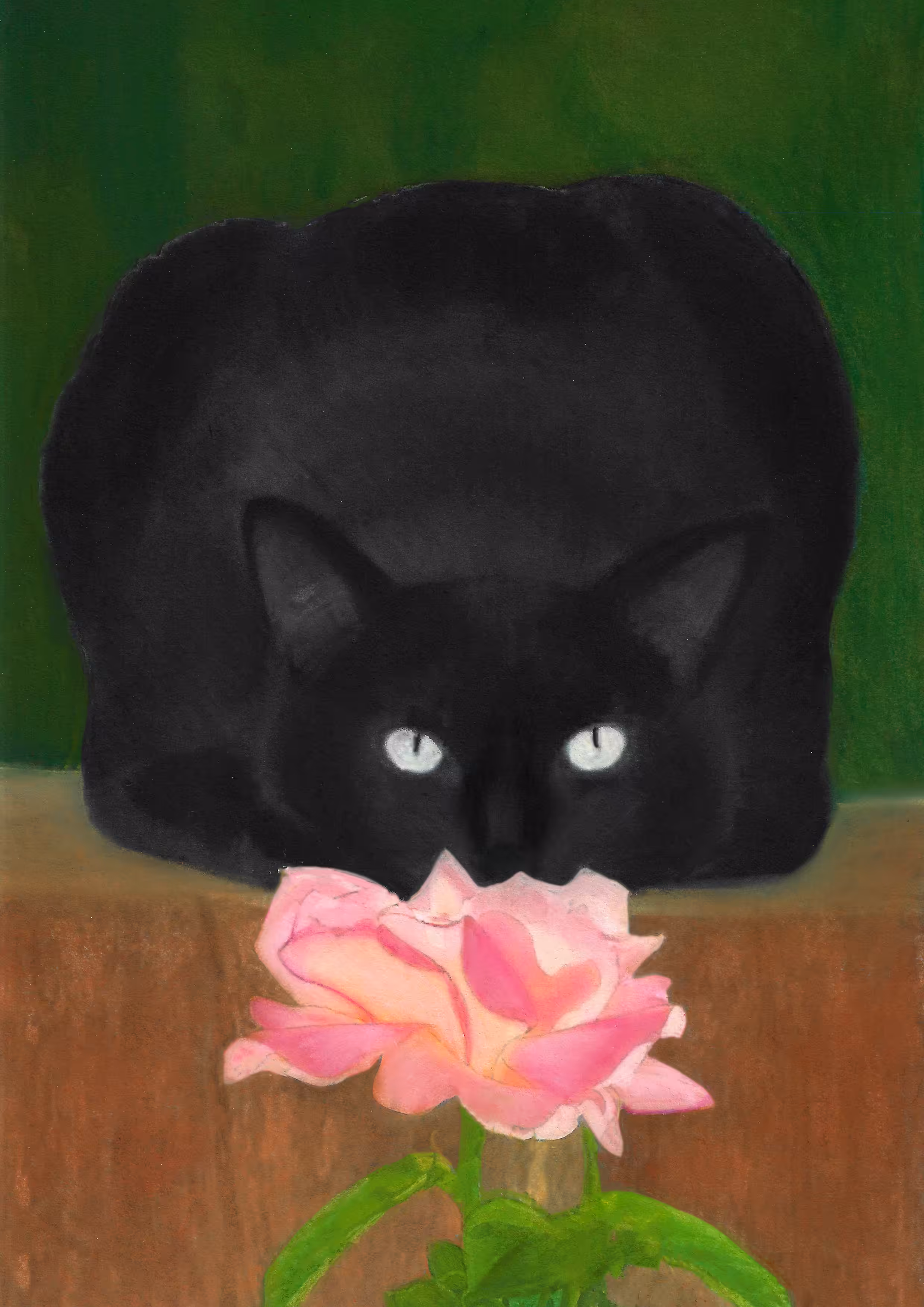 Cat&Rose 