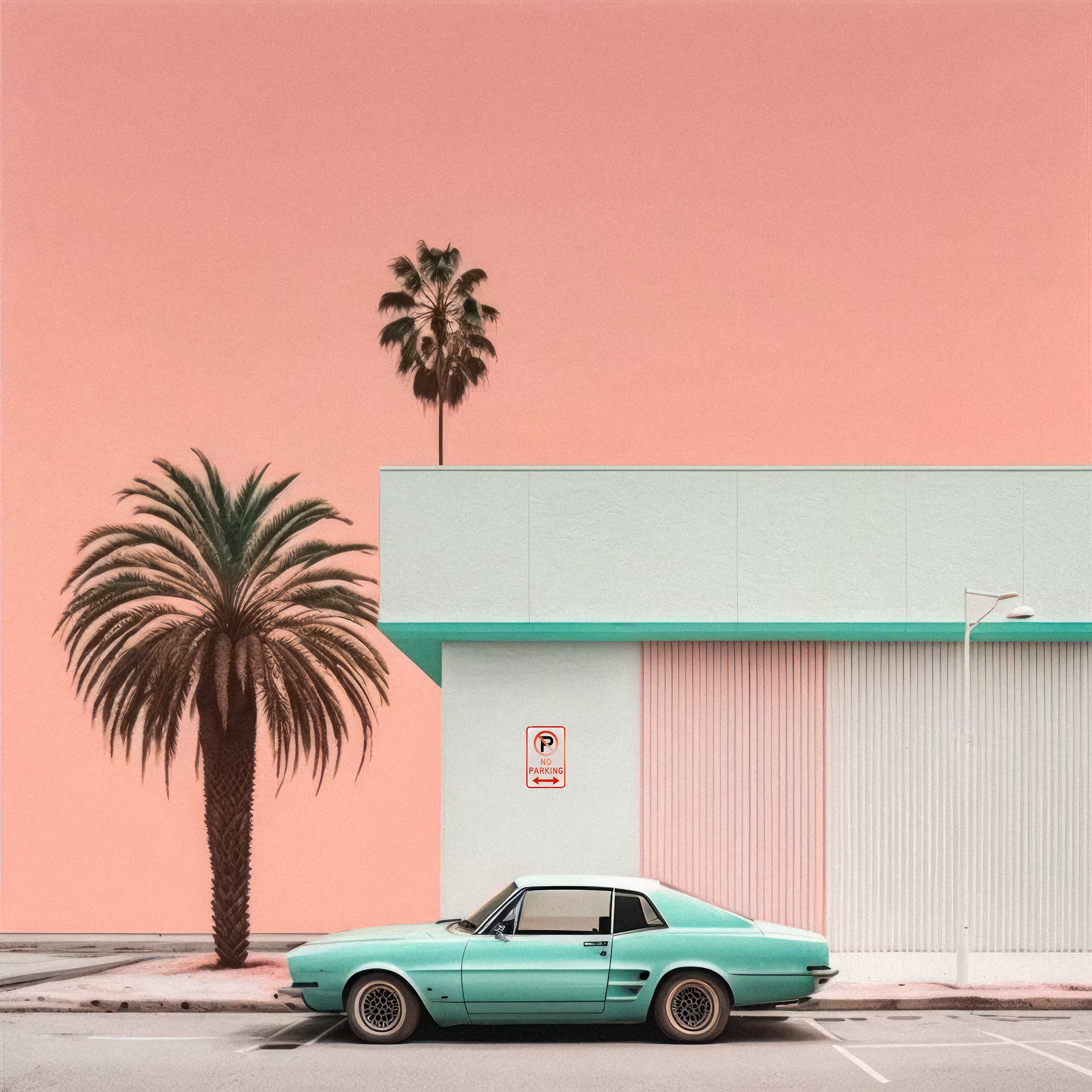 no parking