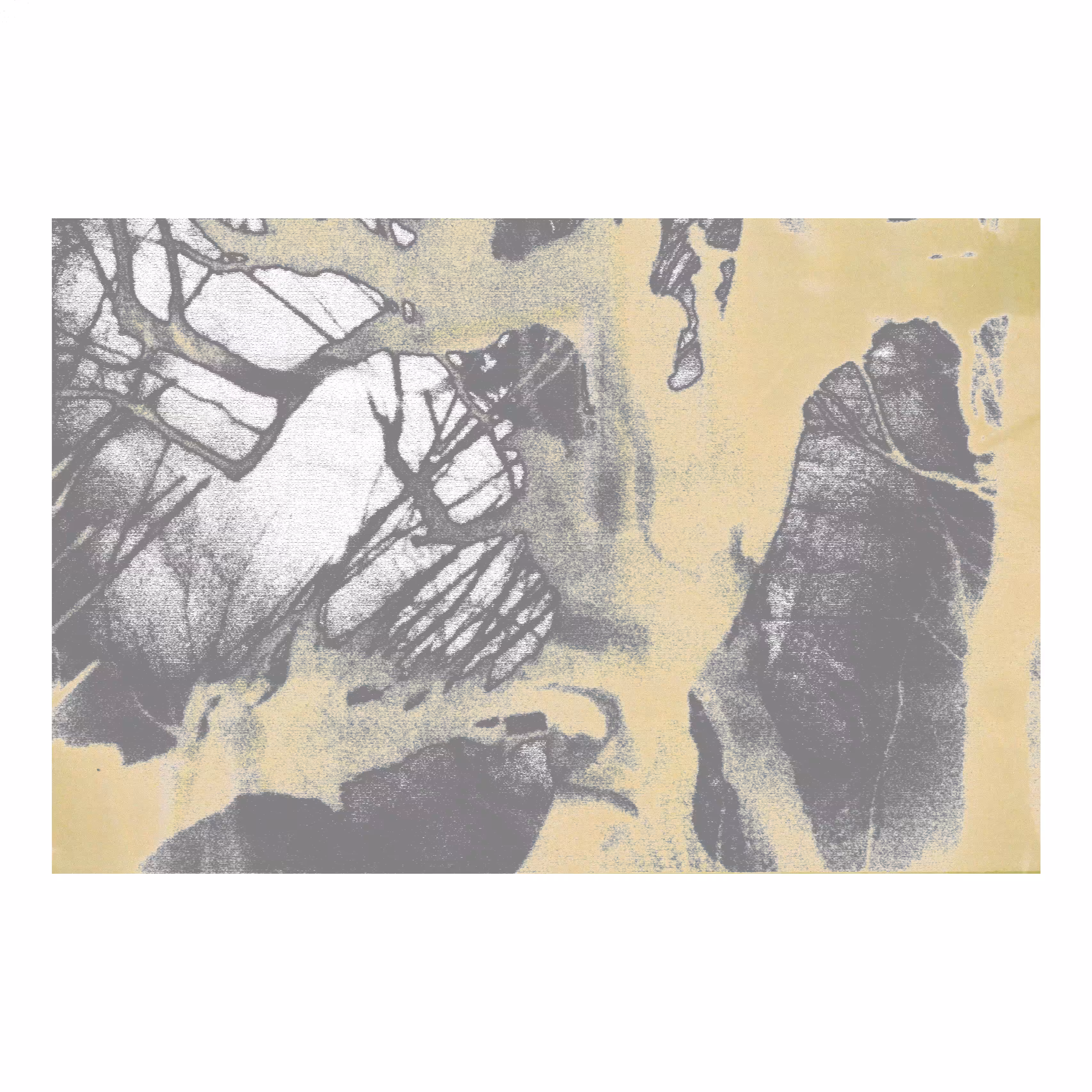 Untitled 5