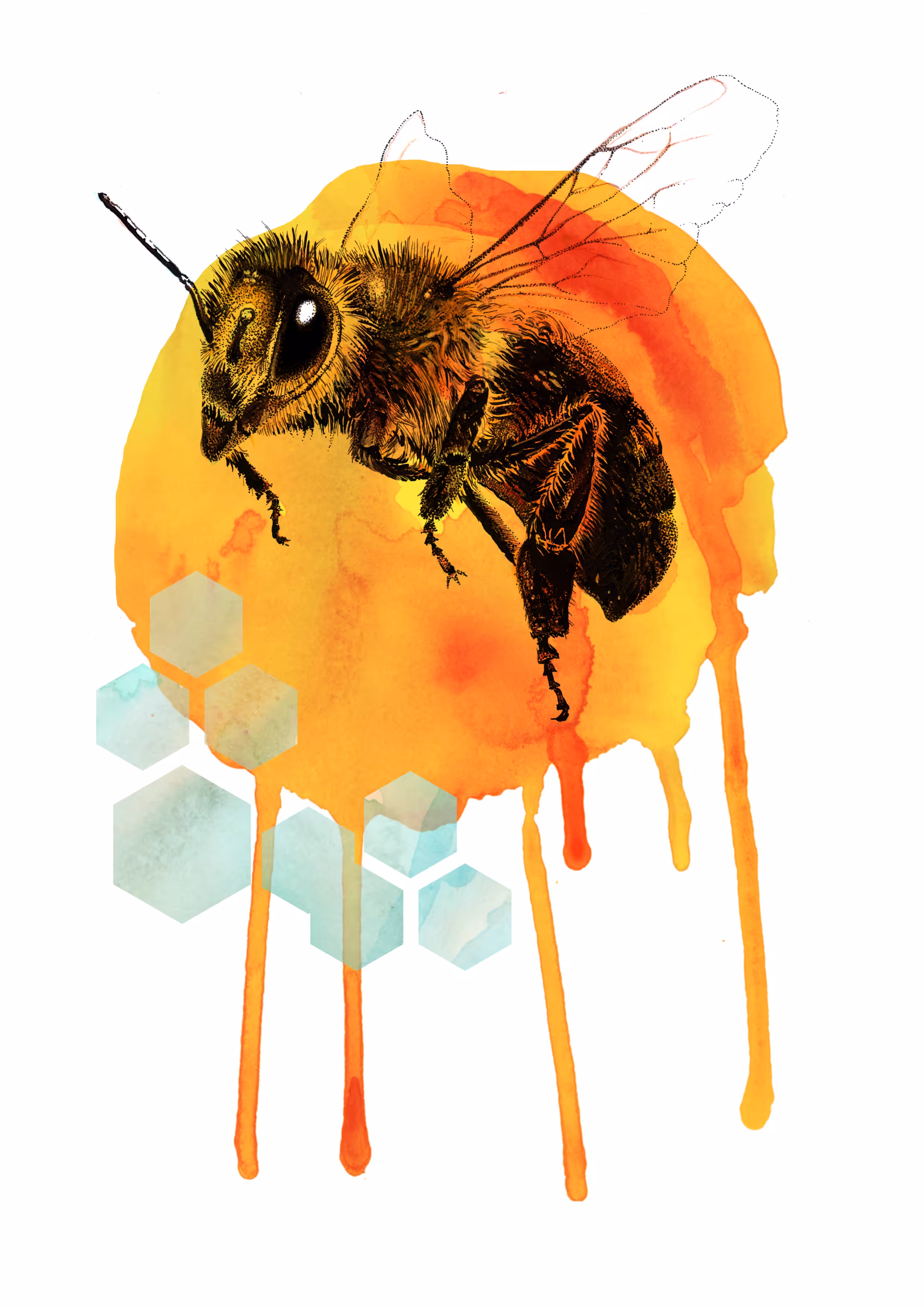 Honey bee watercolour golden