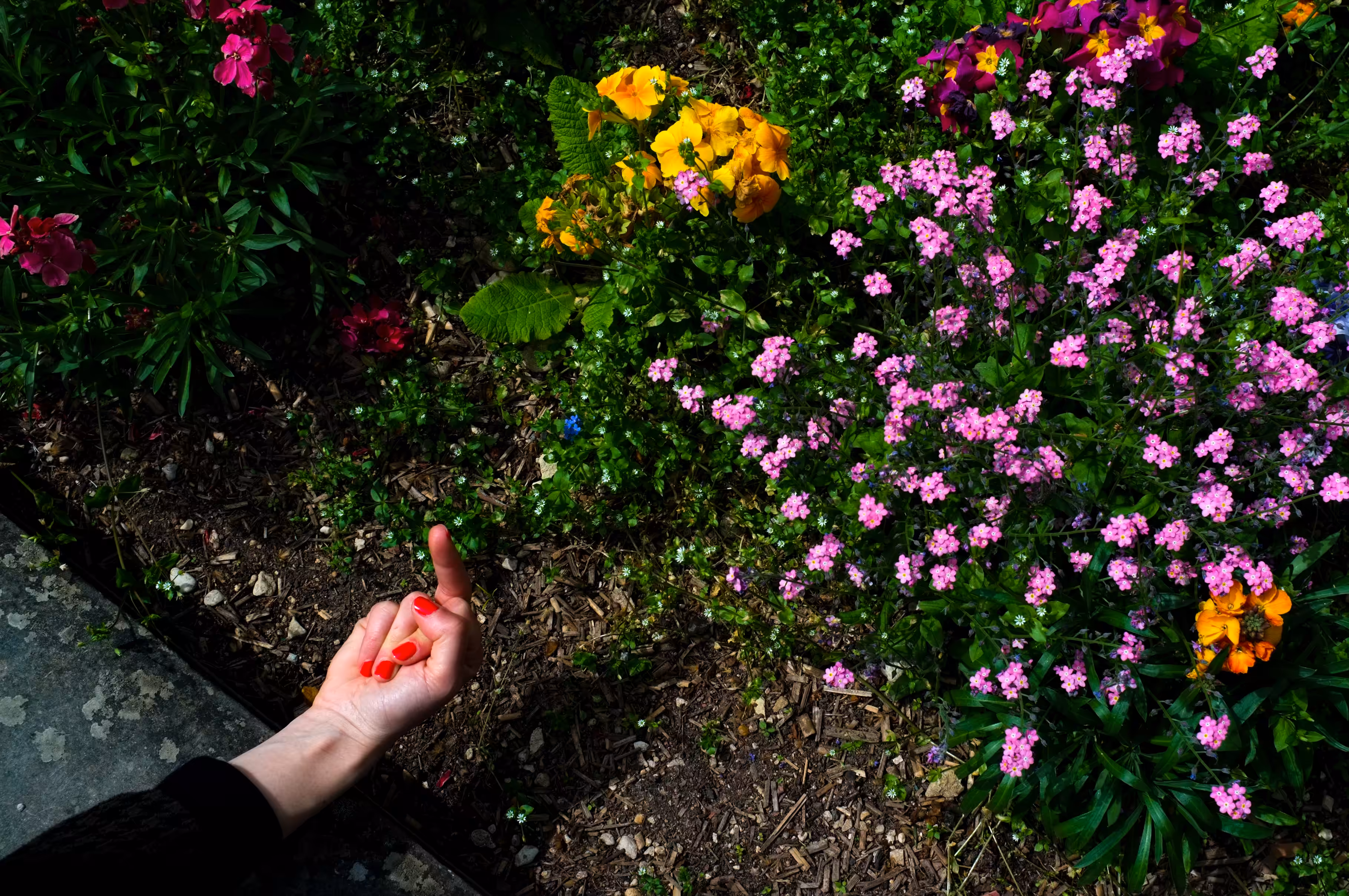 Fucking Flowers