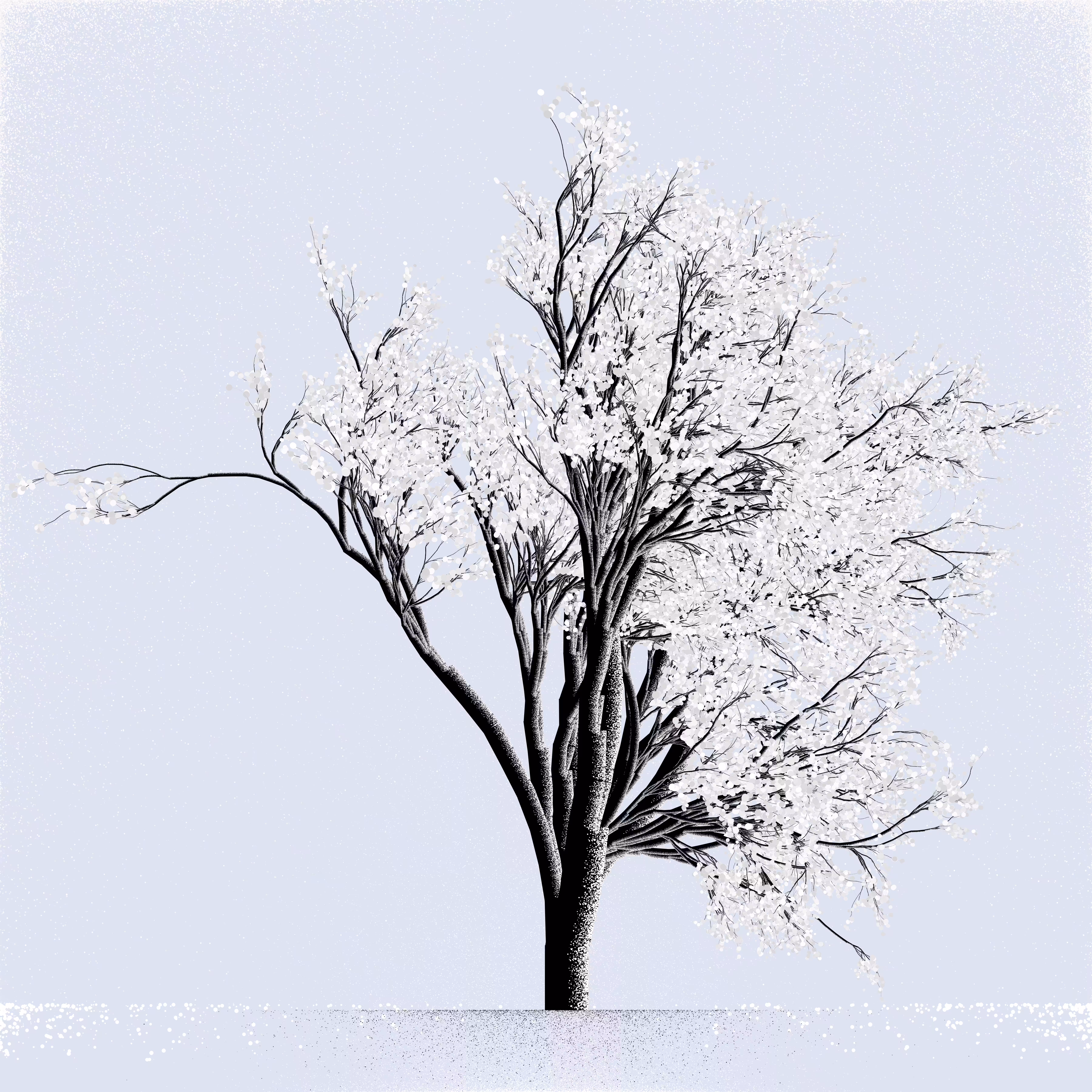 Snow Tree #18