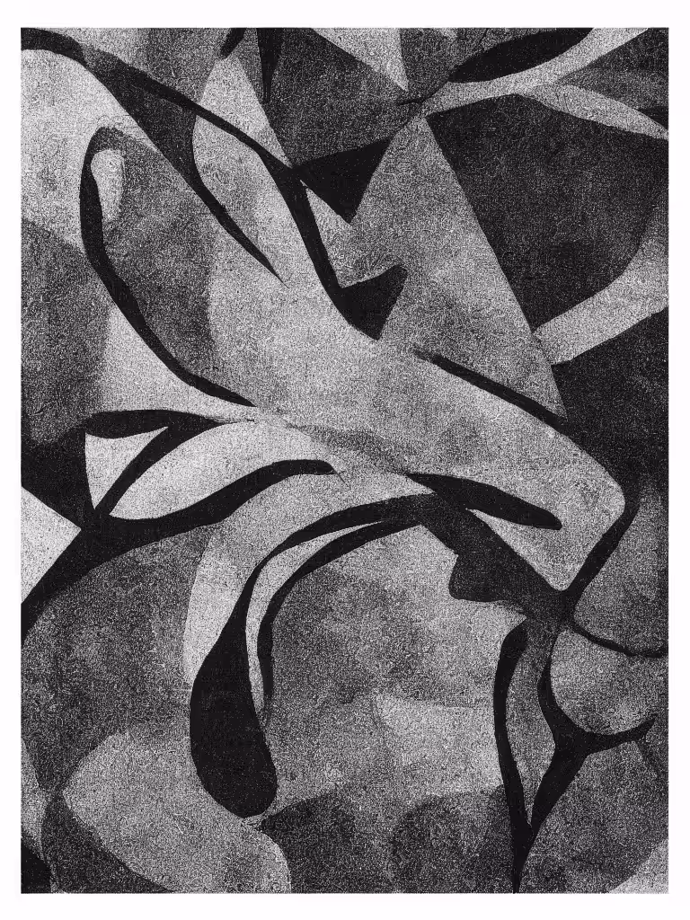 Found Images II #12