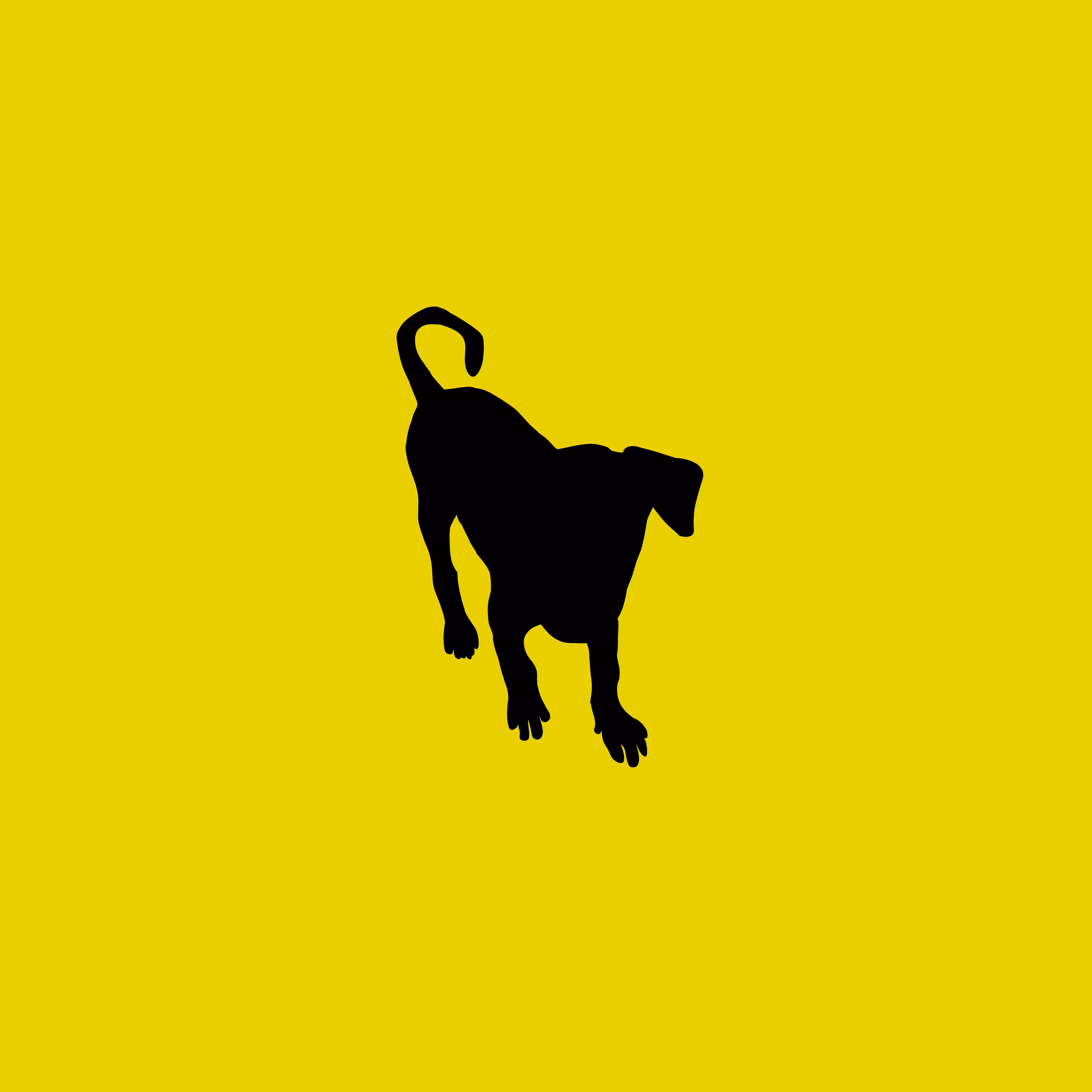  Doge lite