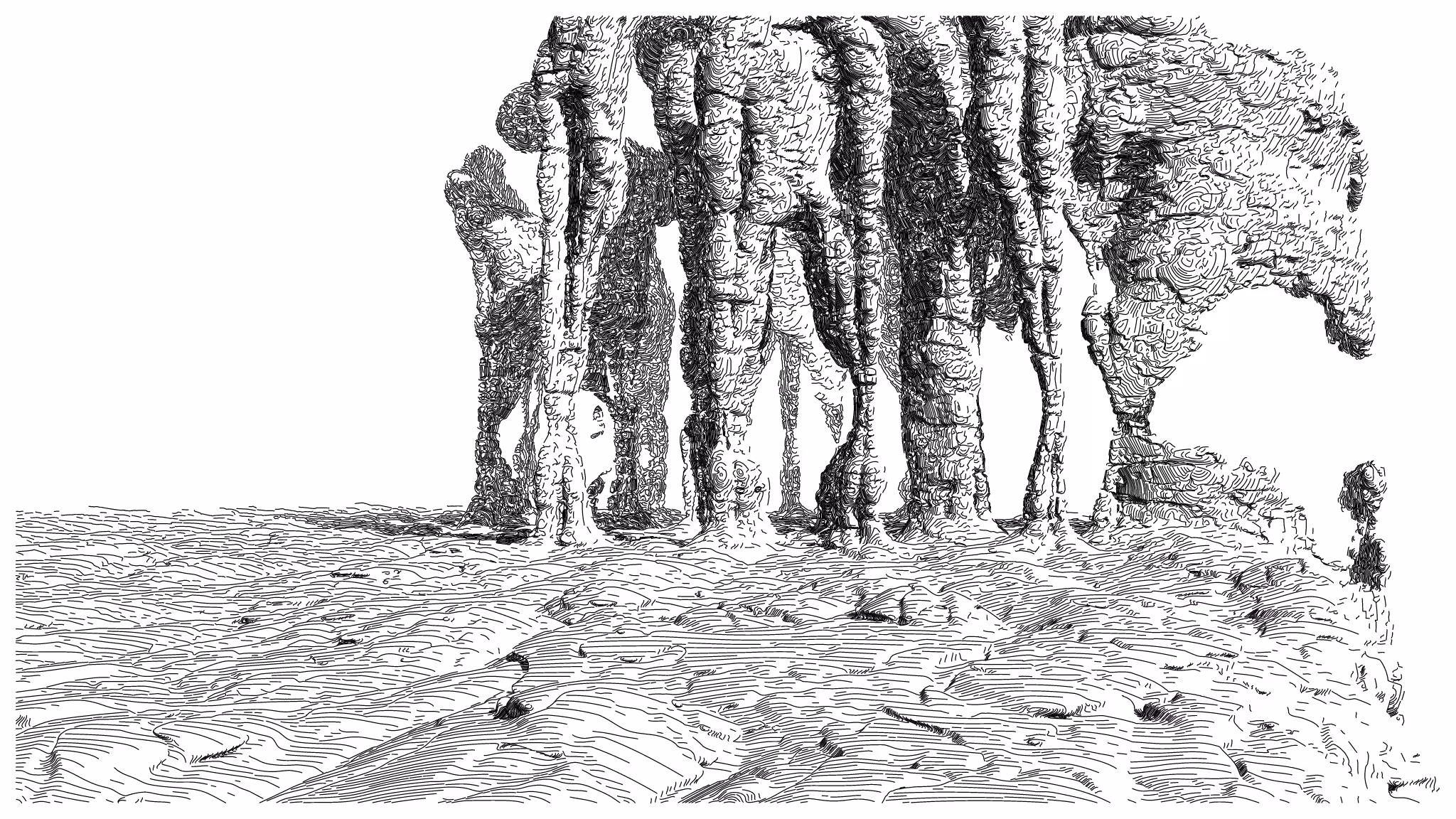 GEOMORPHISM #170