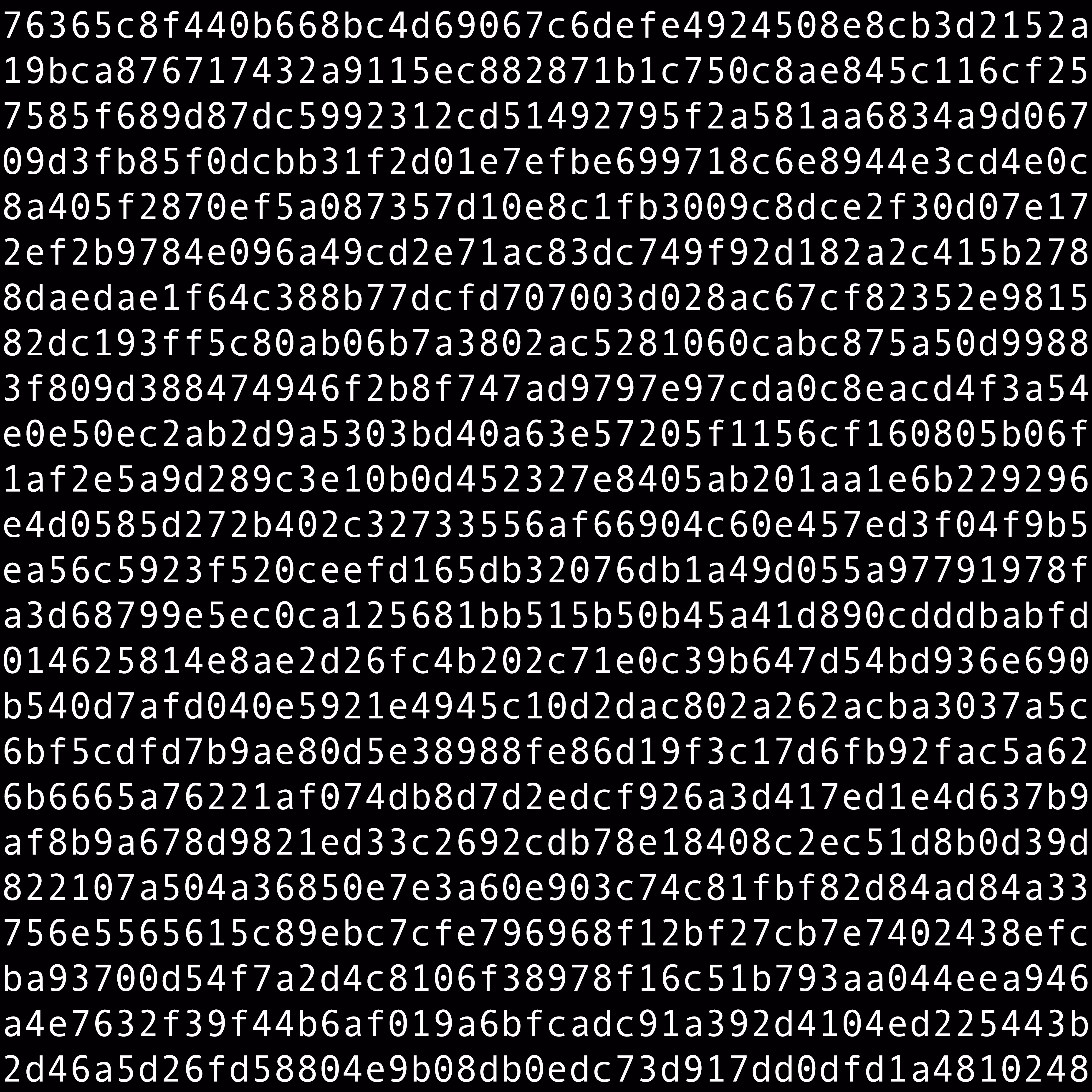 1111 #0198
