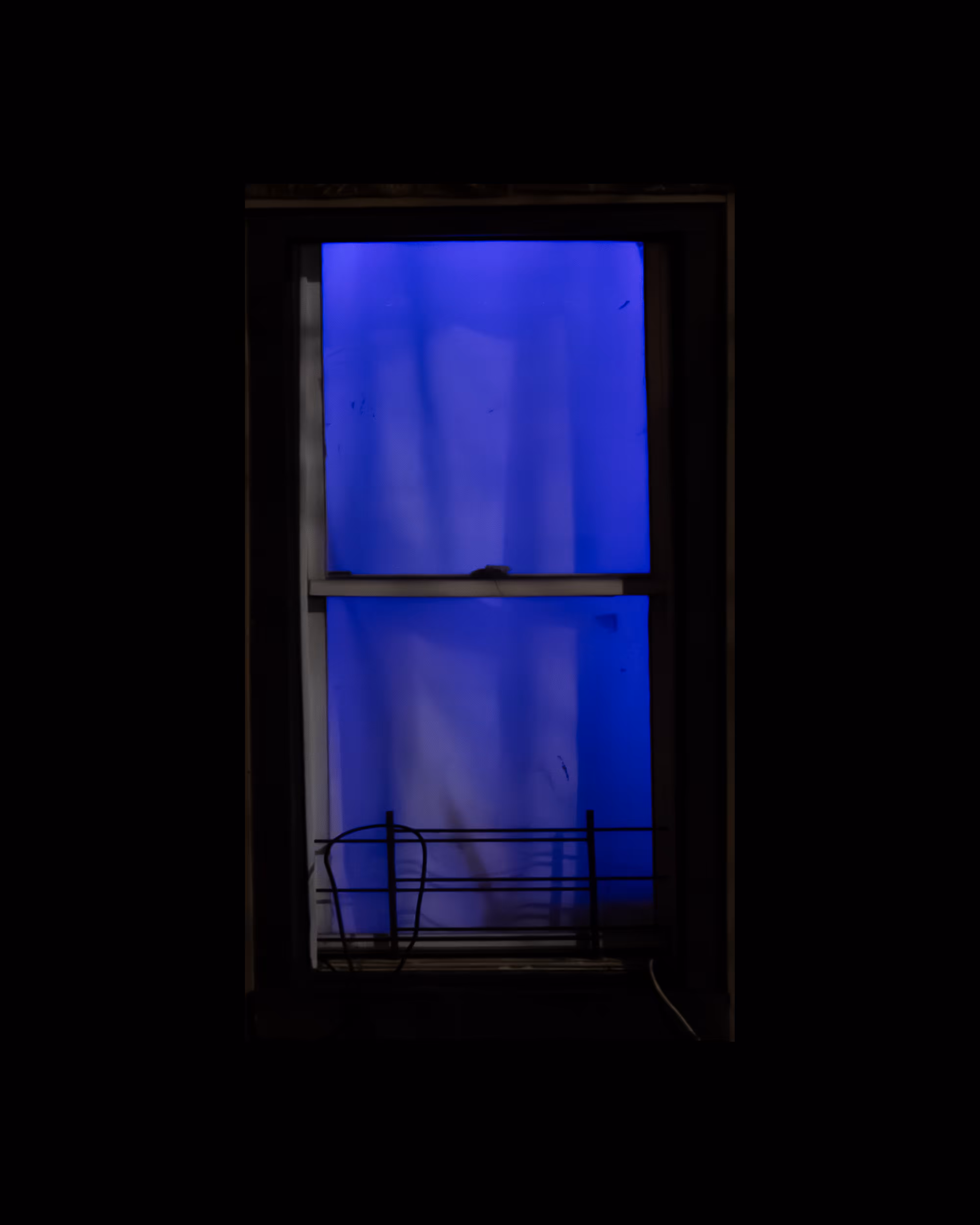 WINDOWS // NYC: WINDOW 441
