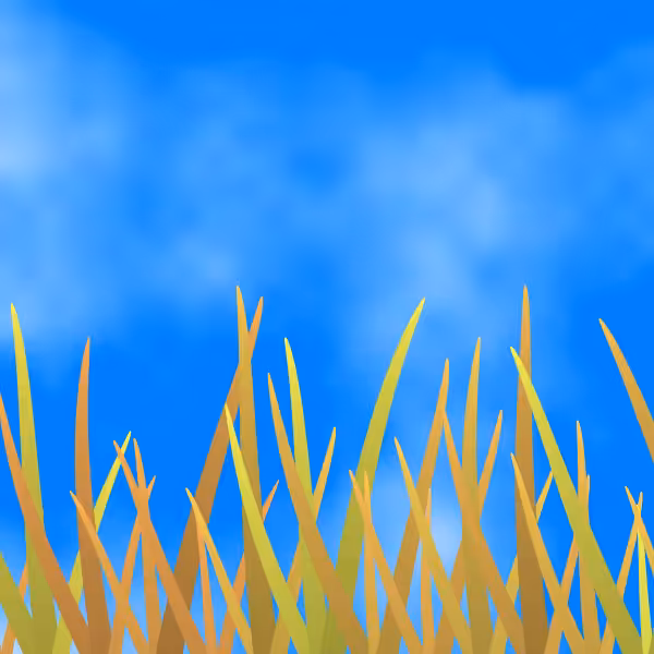 Fields of Ukraine #5