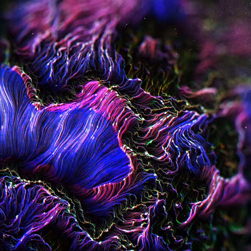 Living Macro