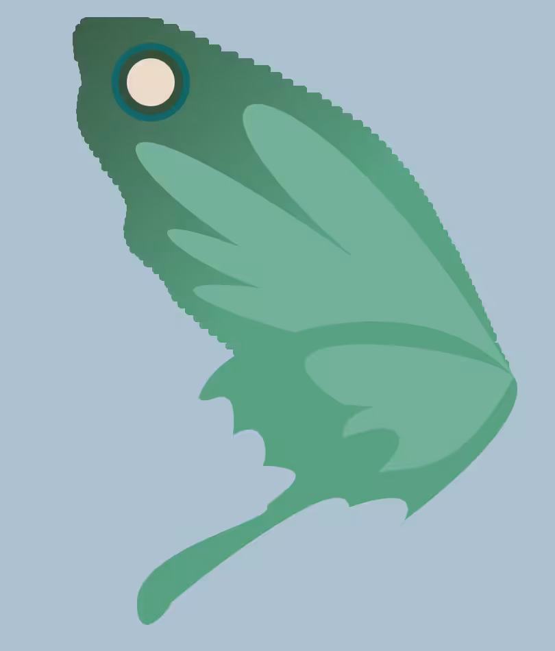 butter+fly #3