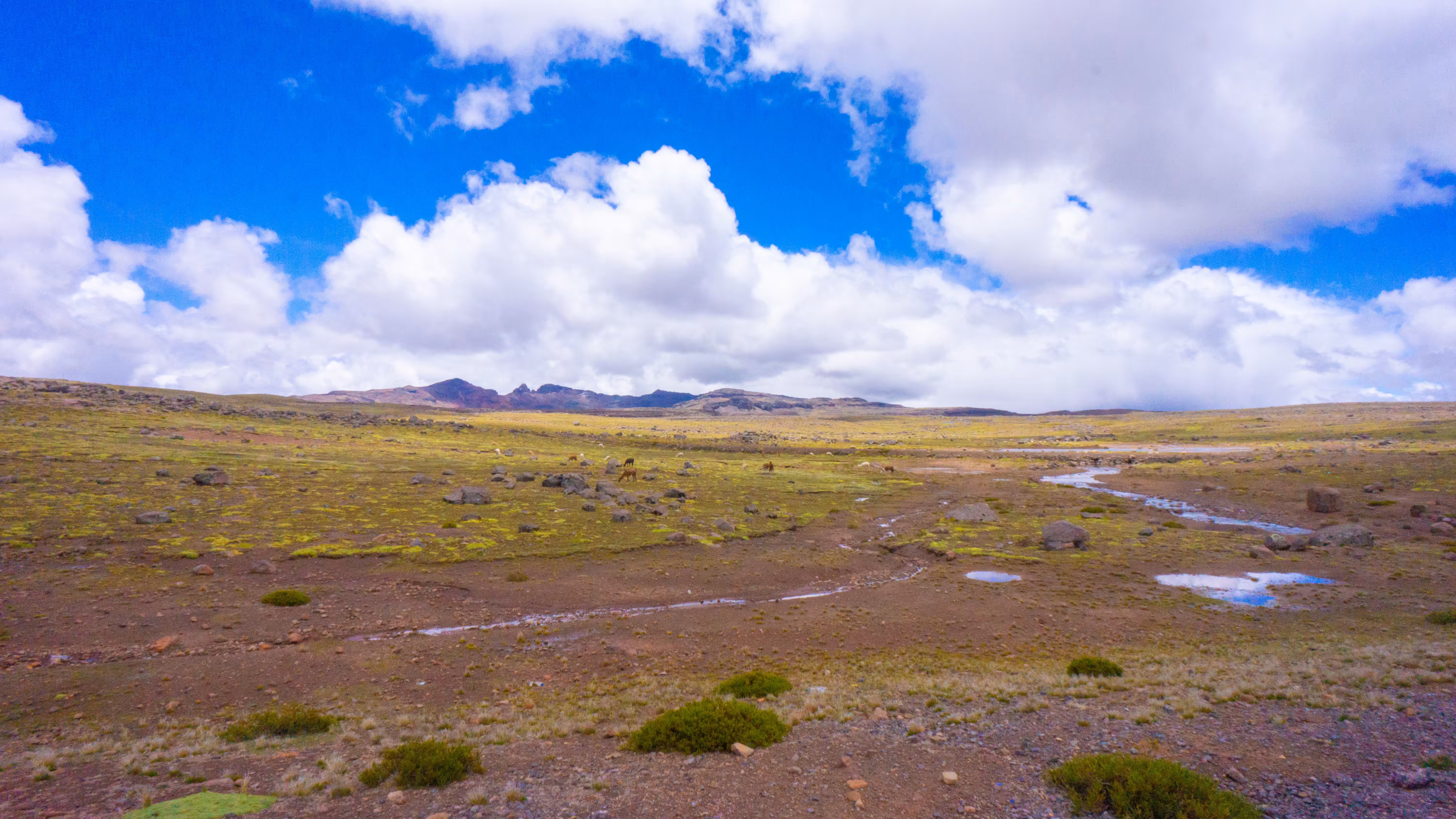 Traveling with love, Peru 2