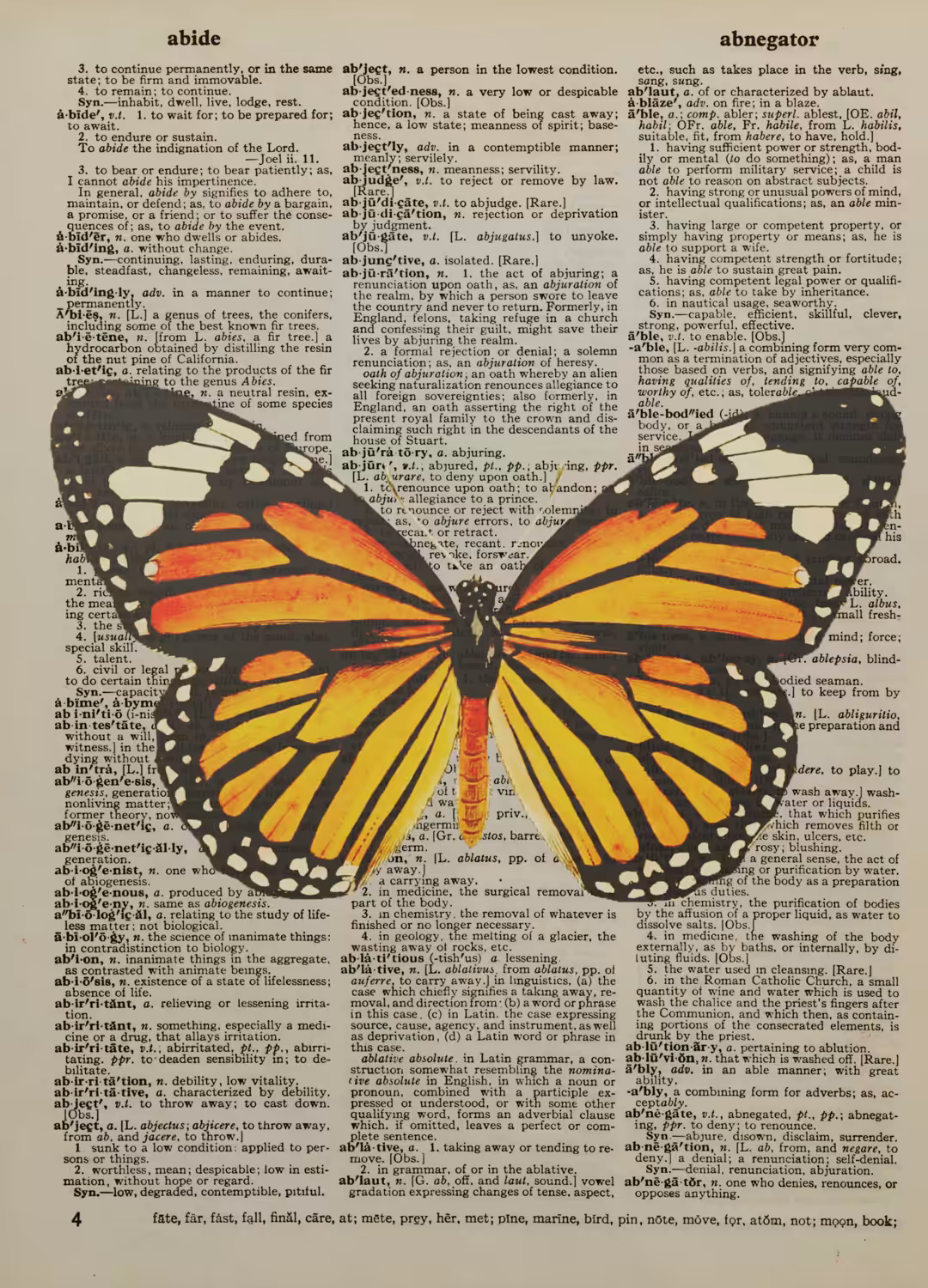 Butterflies #4
