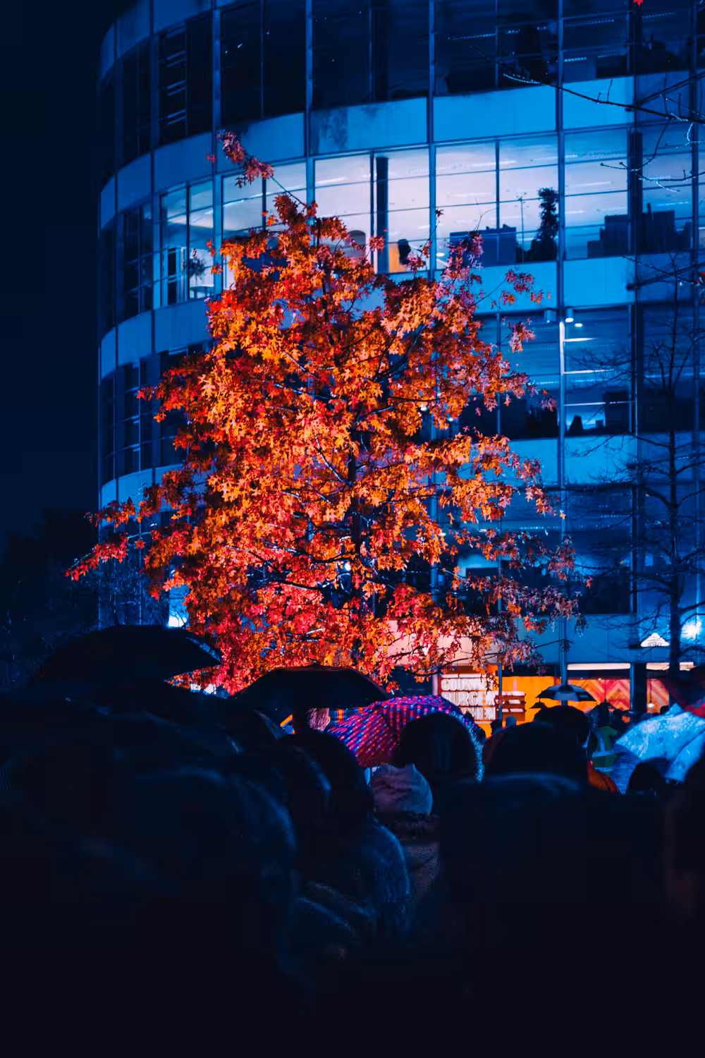 Autumn 2082