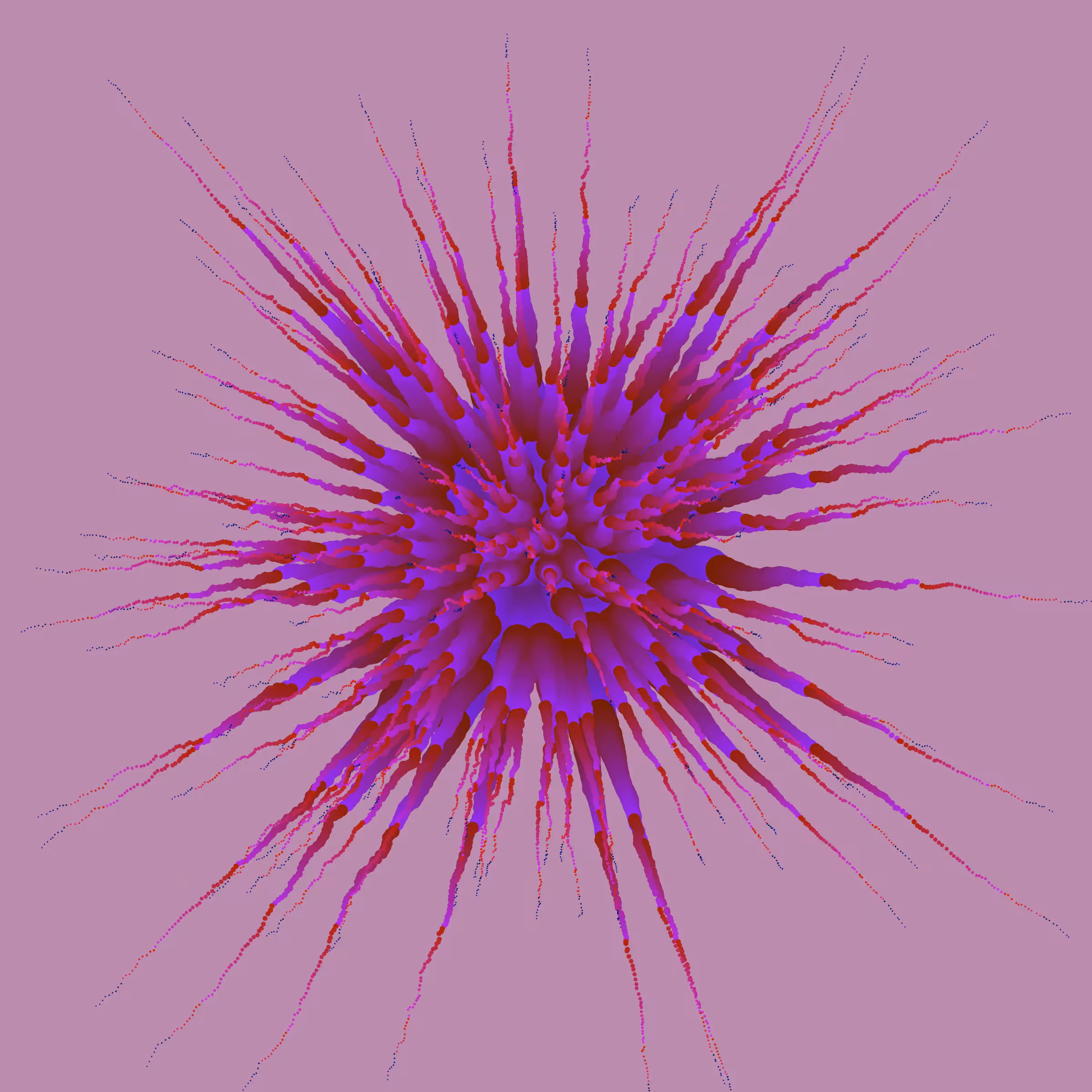 Star Flower