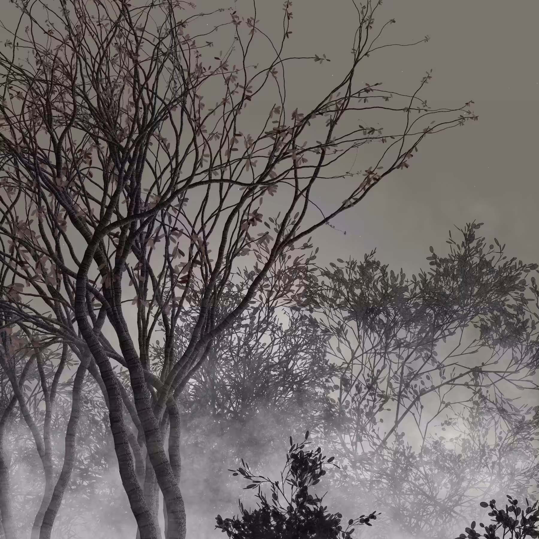 Morning Mist #177
