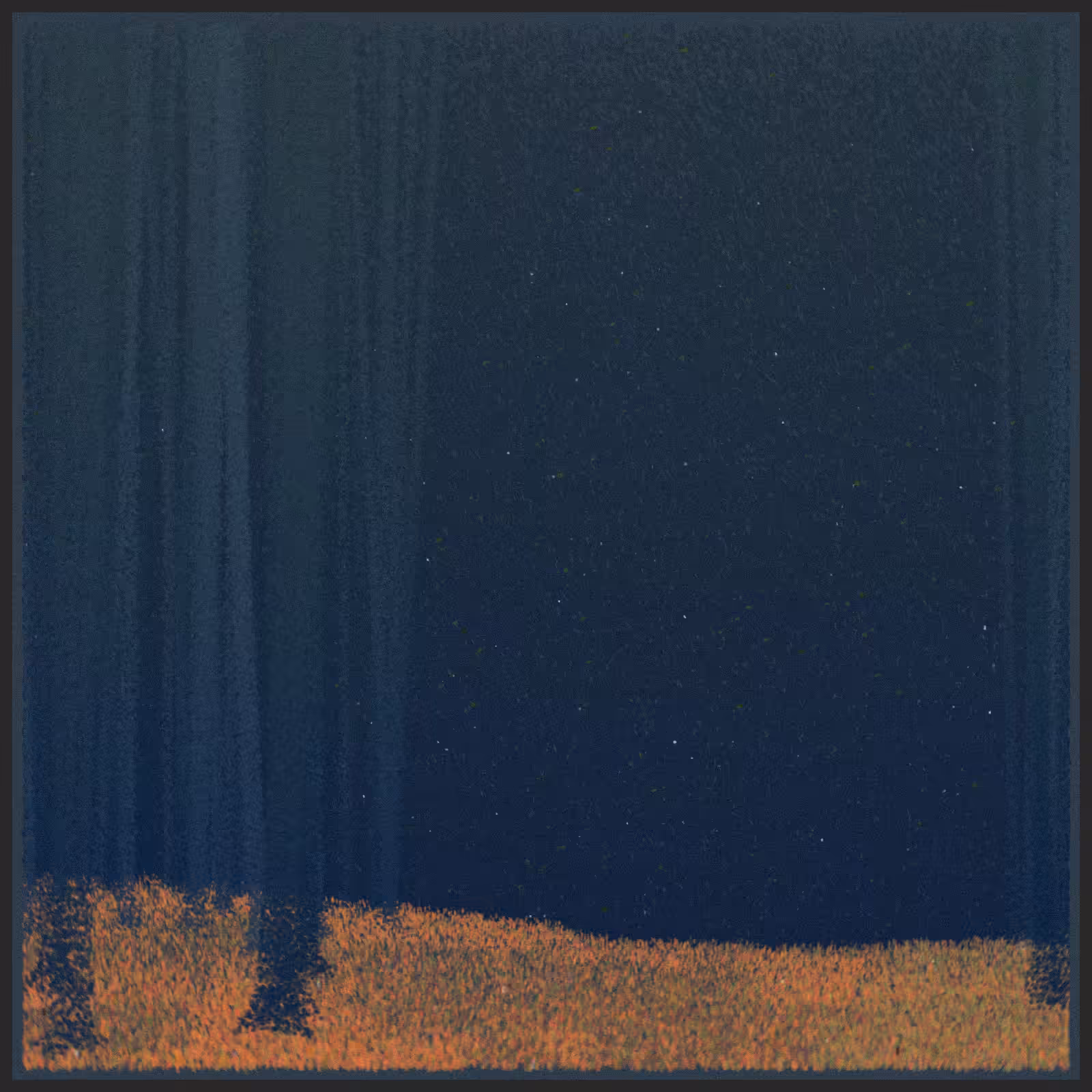 forest #42