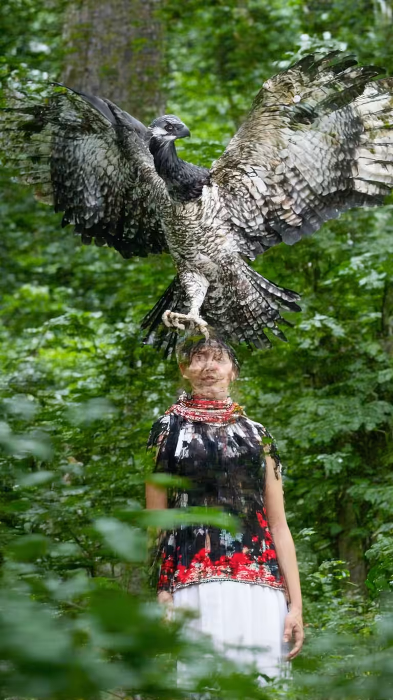 Always Has Been: Chapter 1: 2049 Harpy Eagle Conservation Success in the Amazon