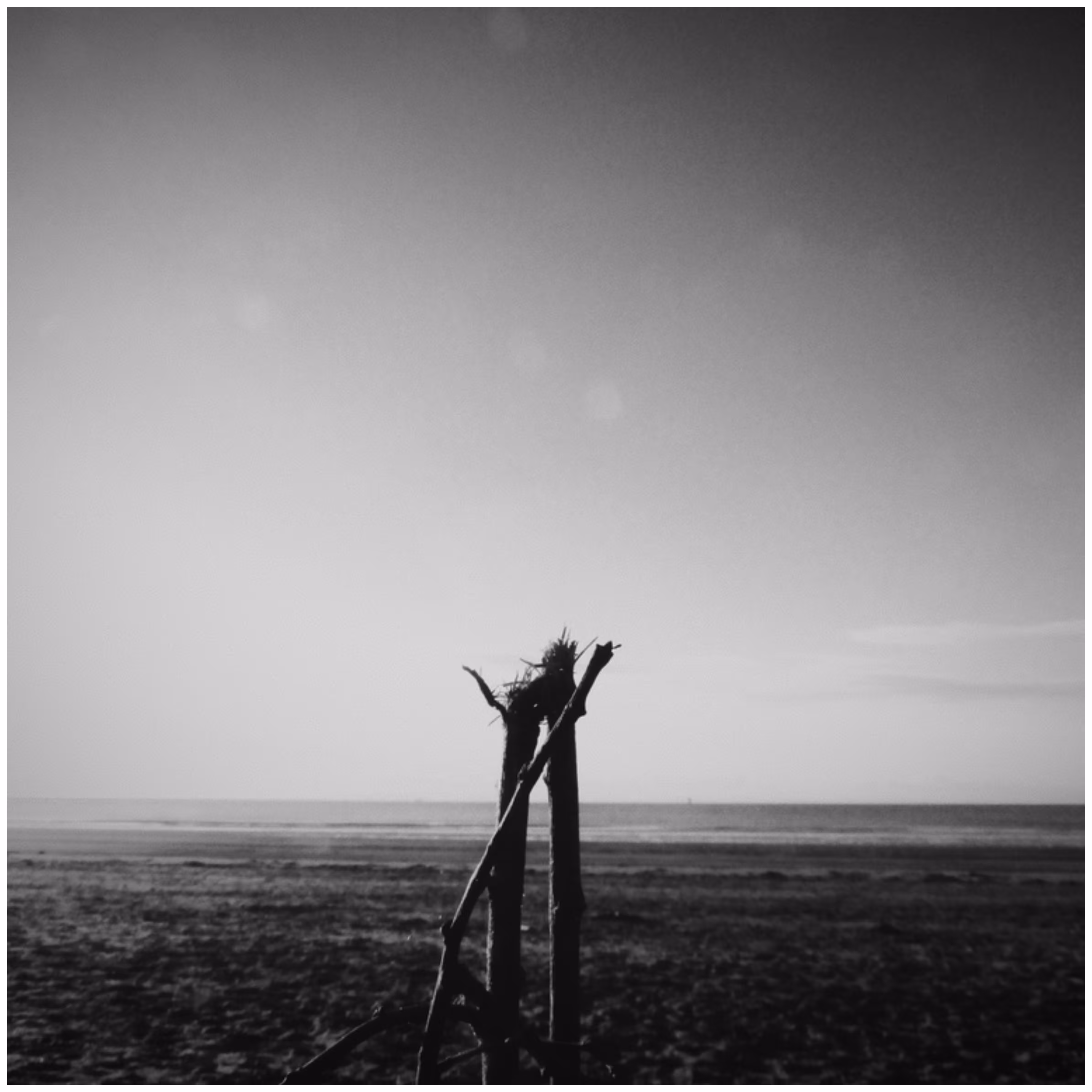 A fact (Solitude)