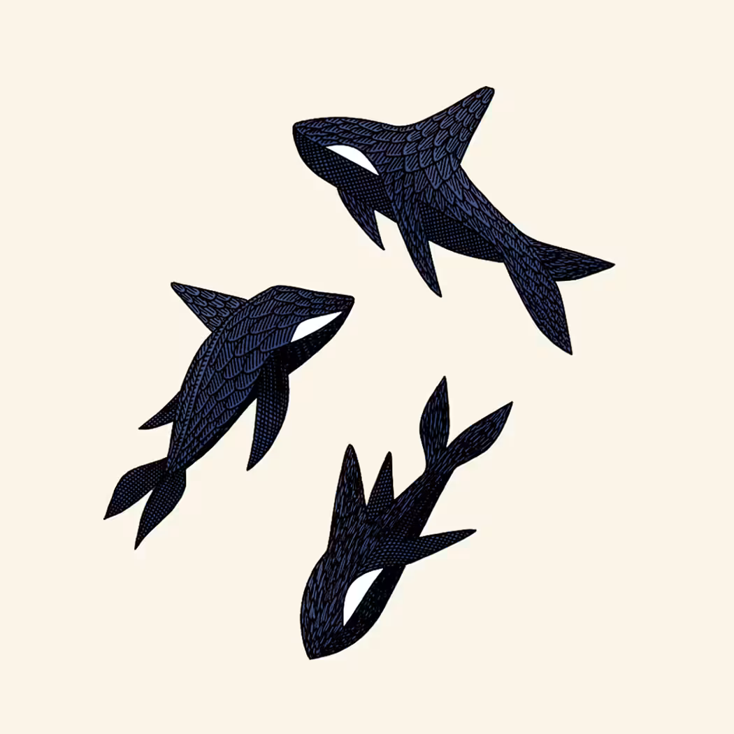Three Orcas