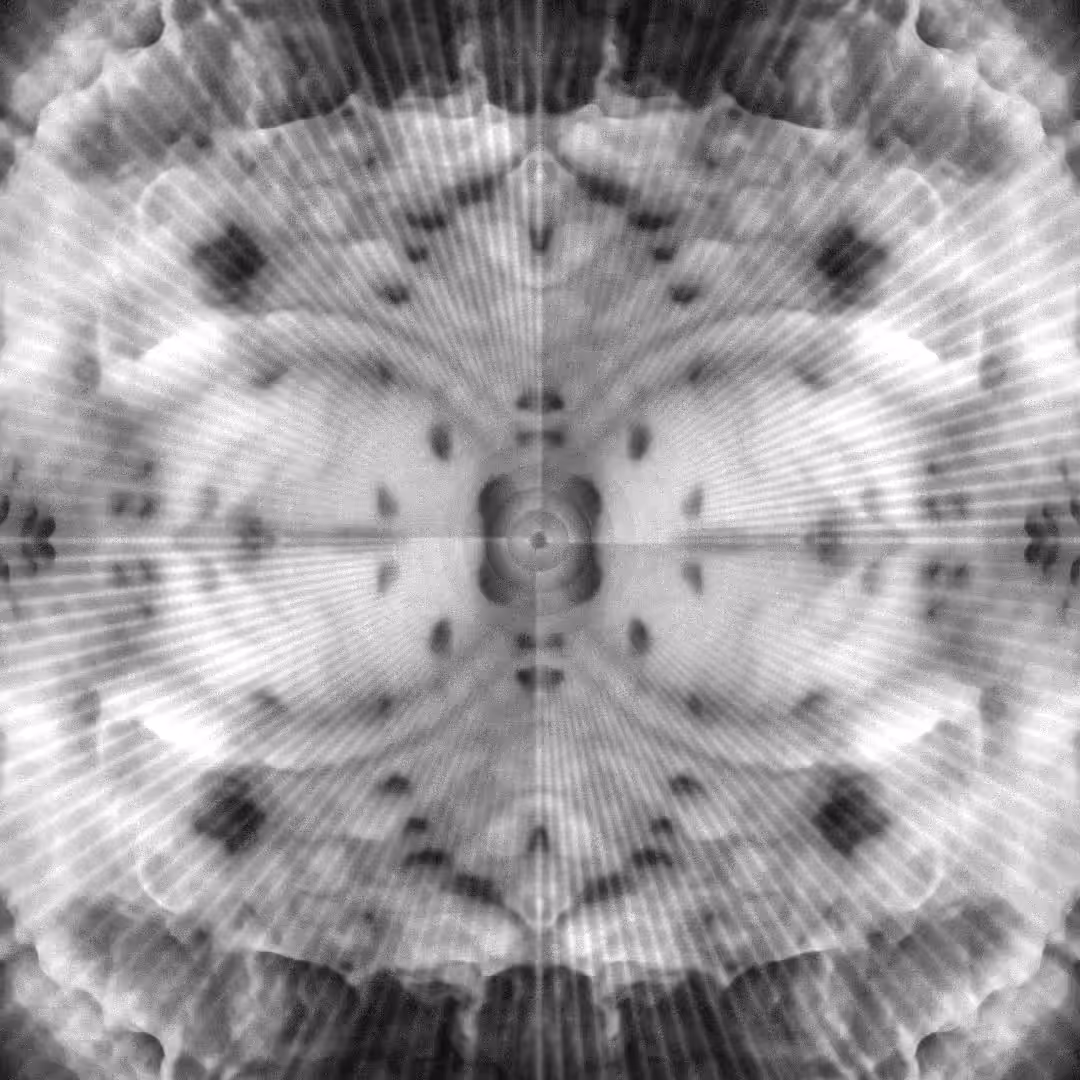 biomatrix mutant