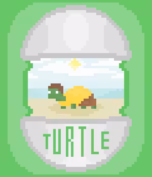TURTLE 'MORTY'