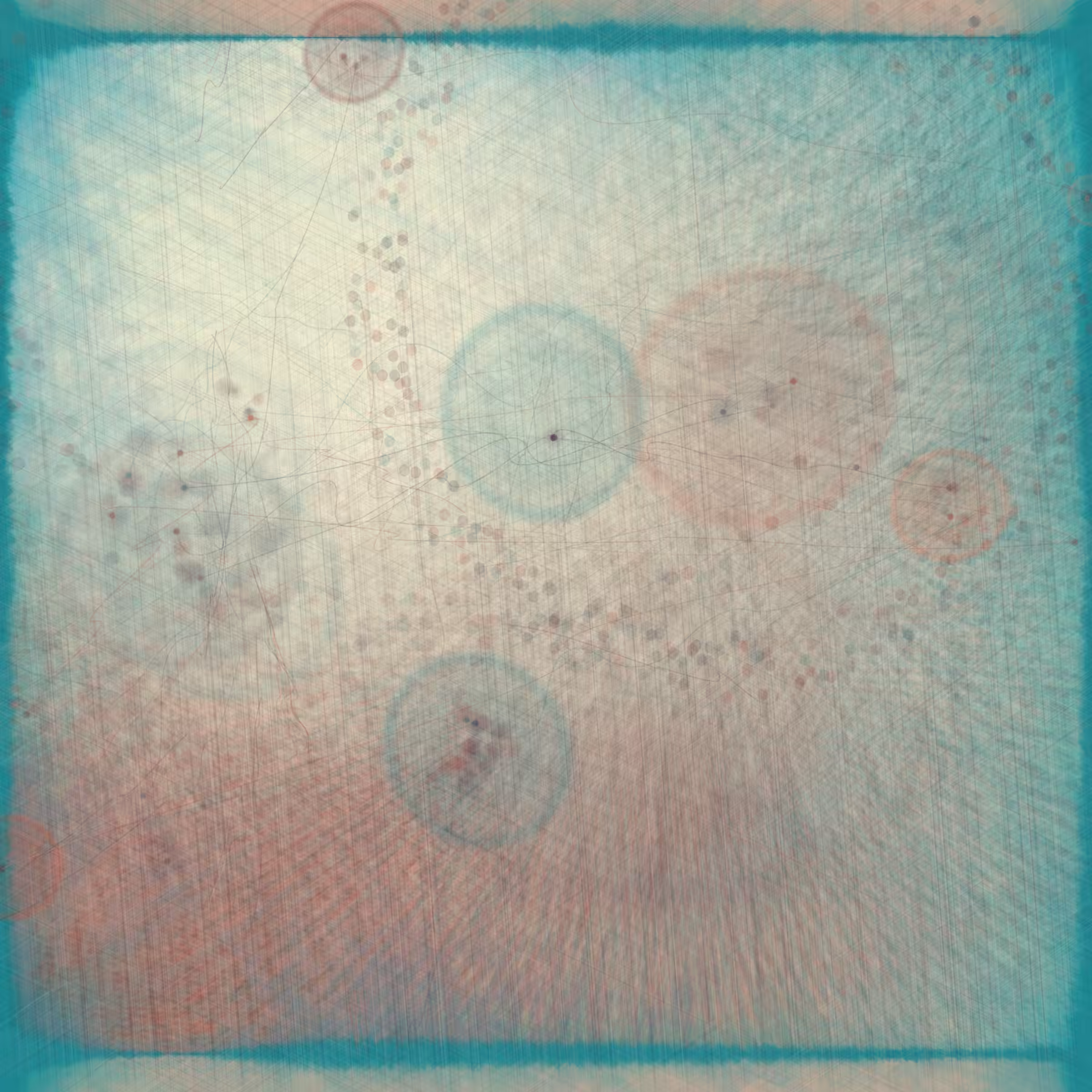Reticulum