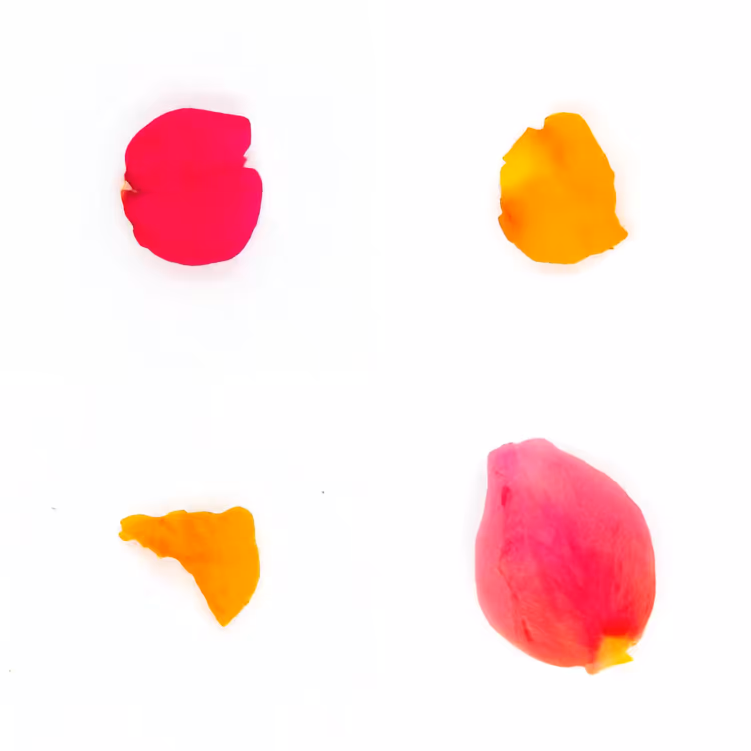 Infinite Petals 2x2#20134
