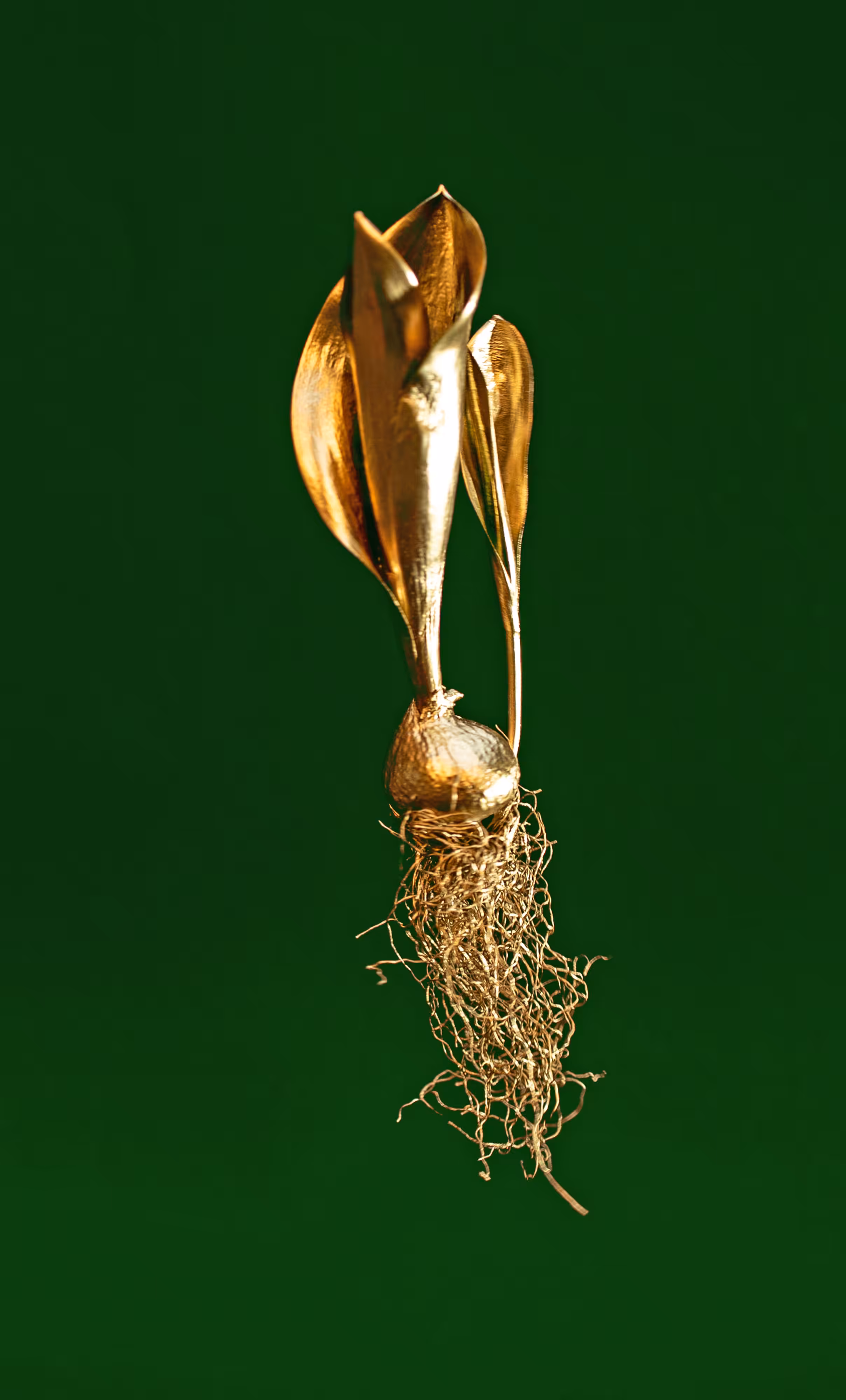 Crypto Tulip - #green2