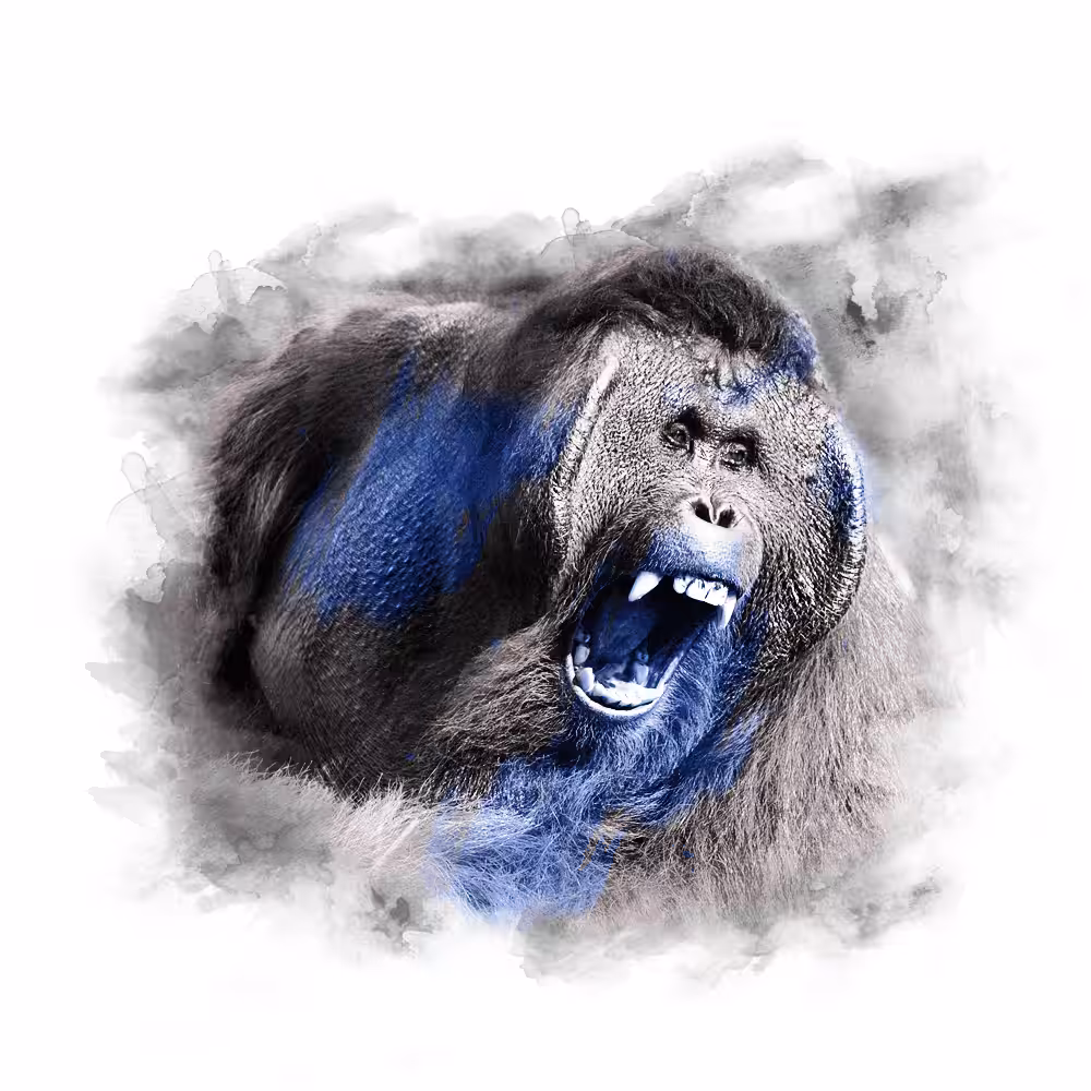 The Animal Kingdom Collection: BLUE SERIES - ORANGOTANGO