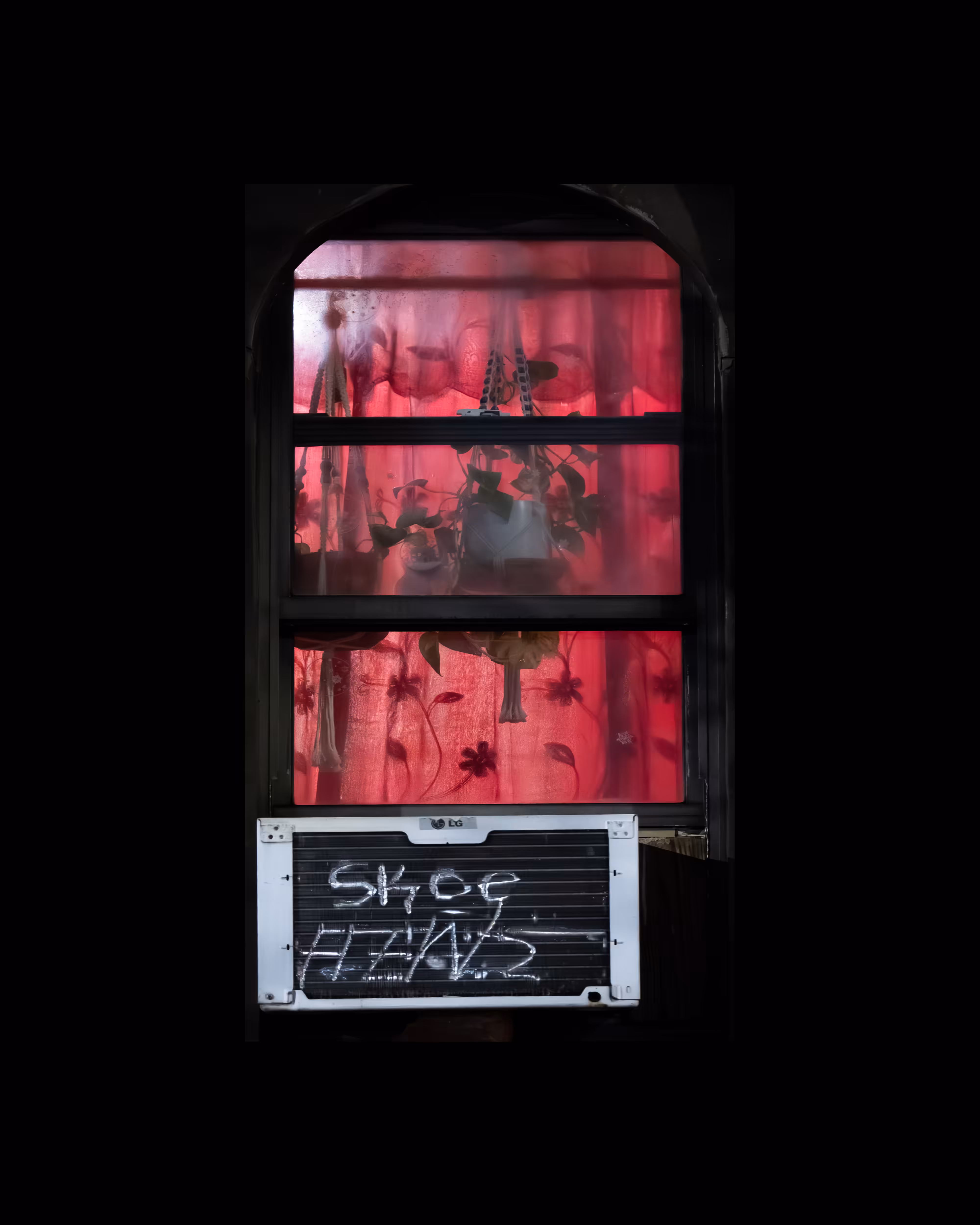 WINDOW 528