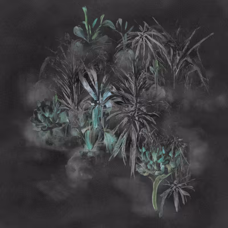 Hauntological Herbarium #41