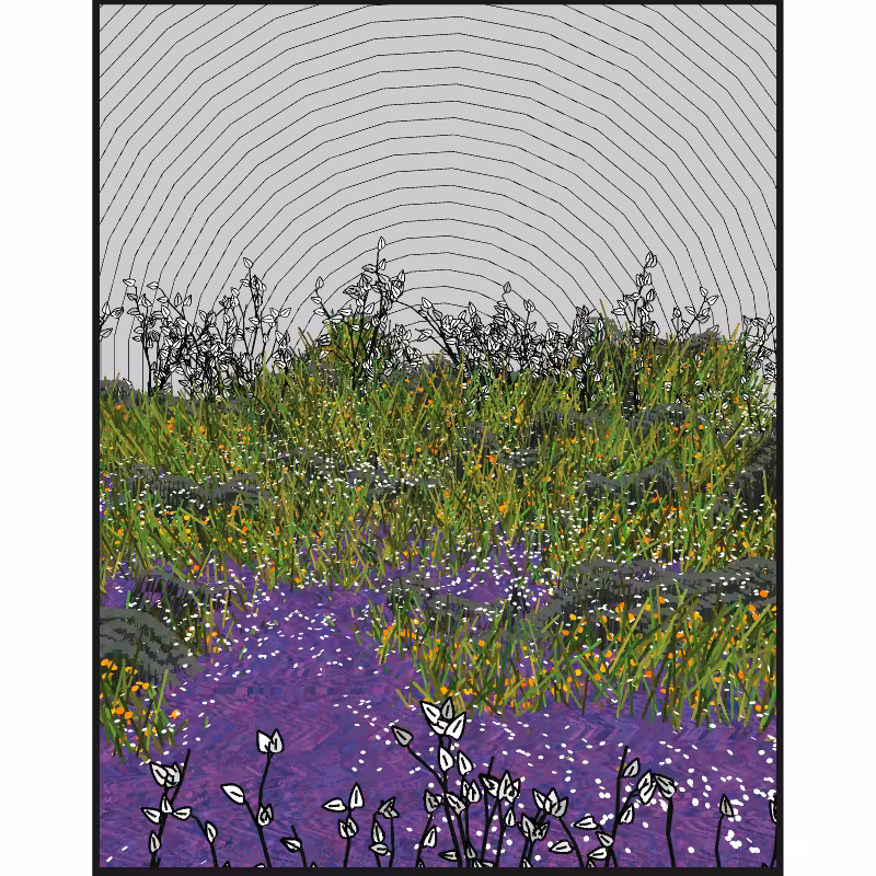 Contours #18