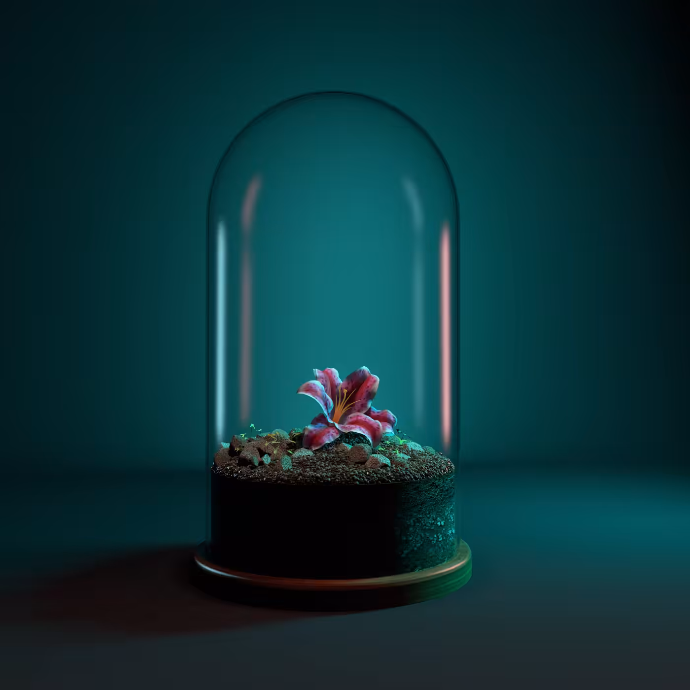 Terrarium #09