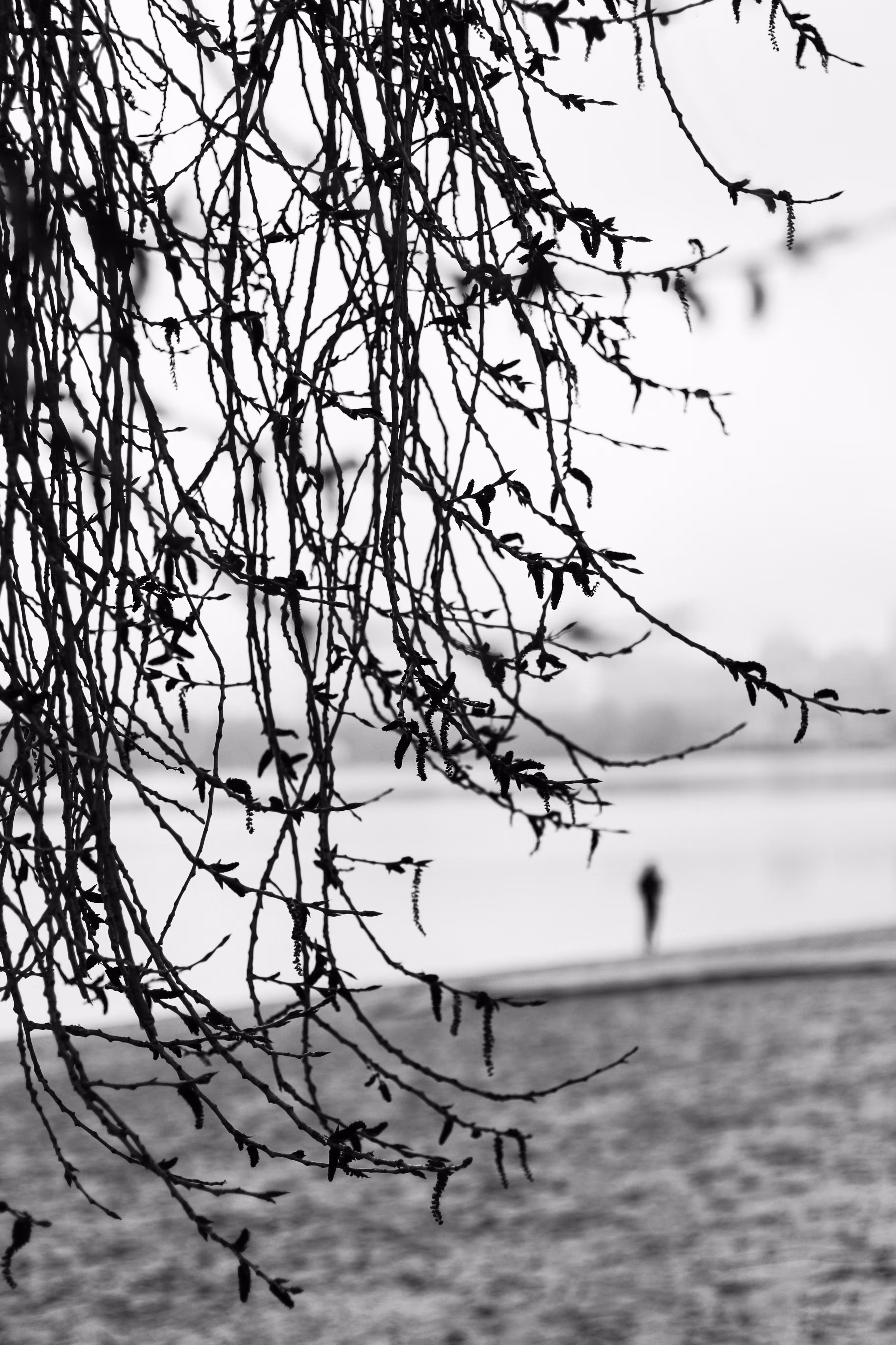 out of focus 