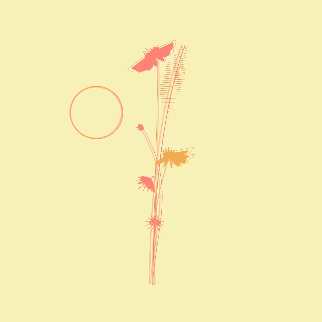 TO THE AIR #58
