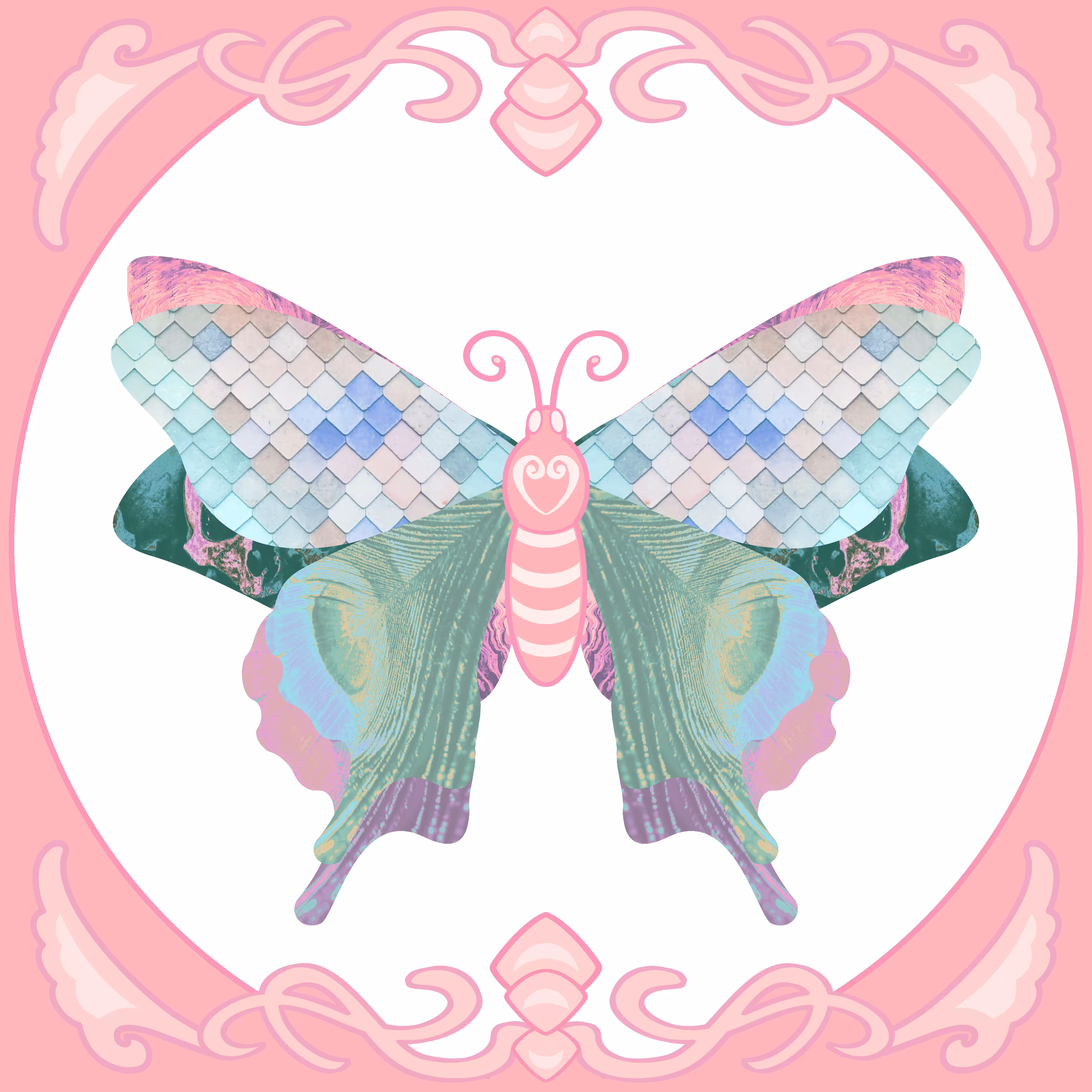Moth #8