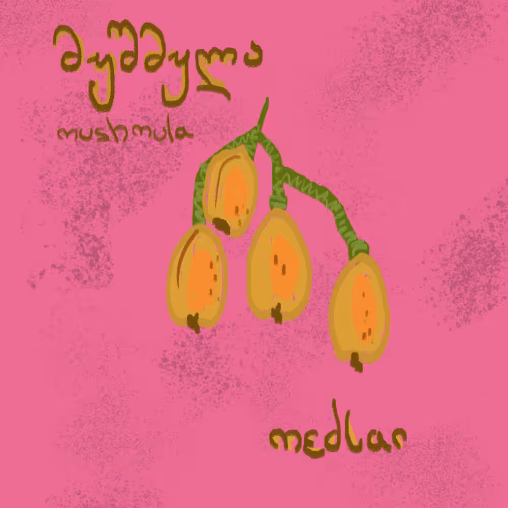 medlar/mushmula