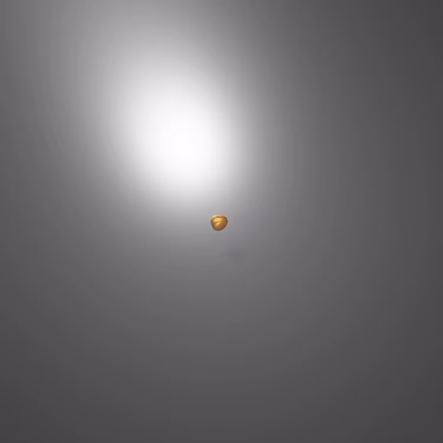 PORTAL 003