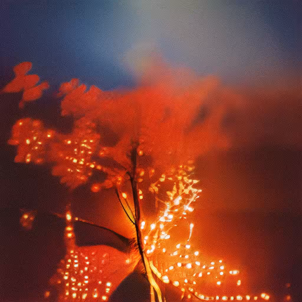 711-82 Lustrous Dance of Light