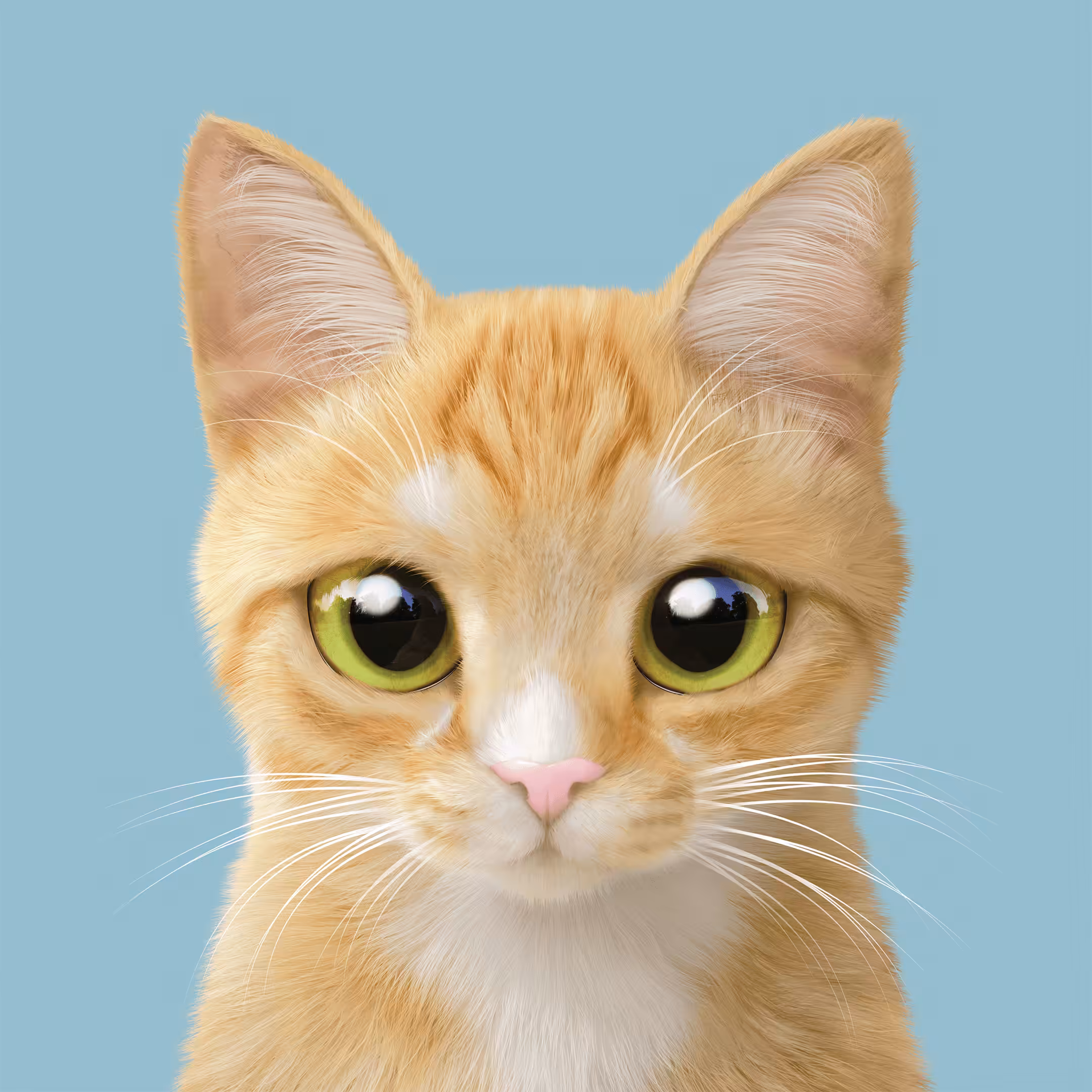 Sugar Cat & Candy Doggie: #305 Roy the Cheese Tabby