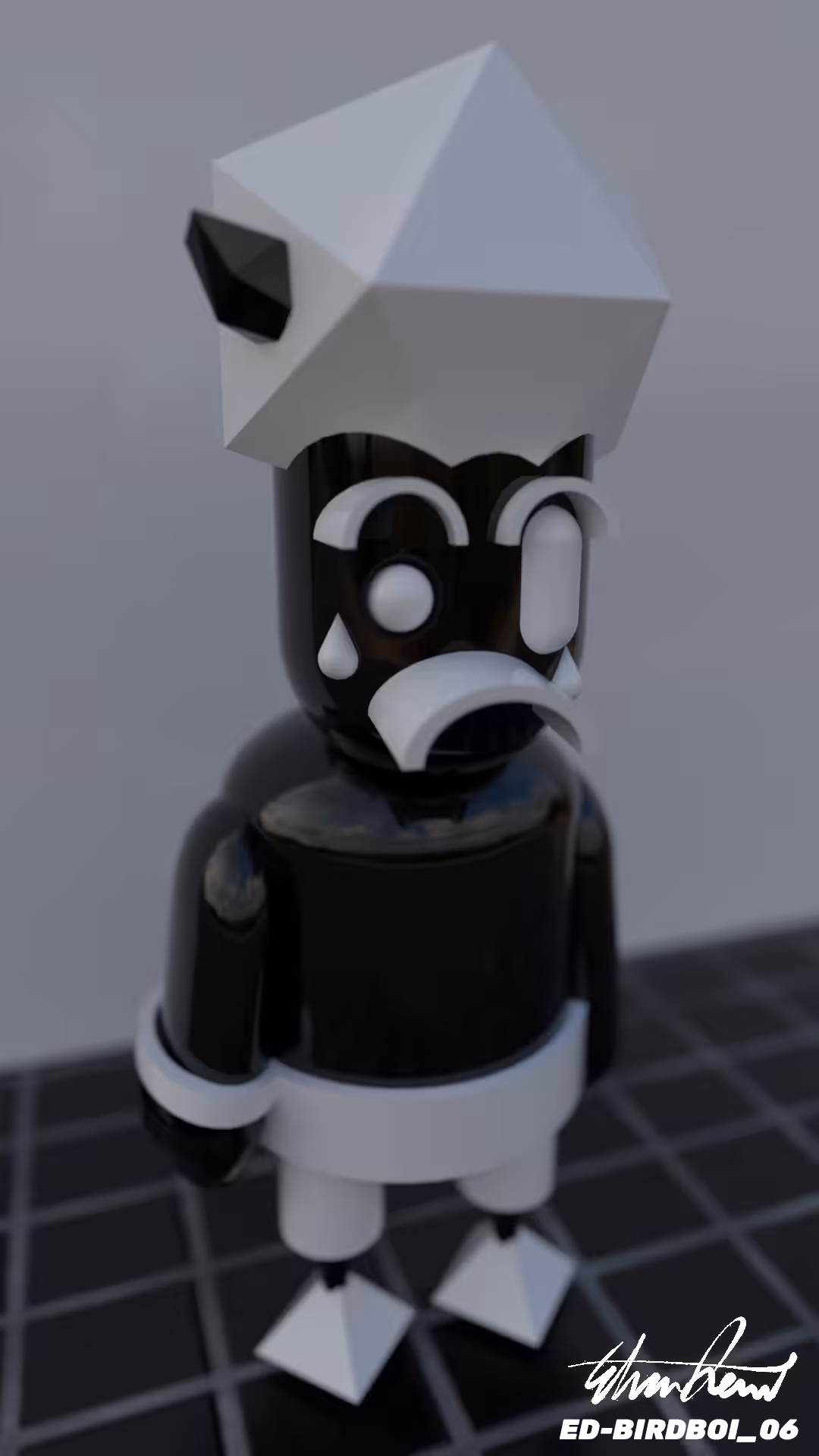 ED-BIRDBOI-06