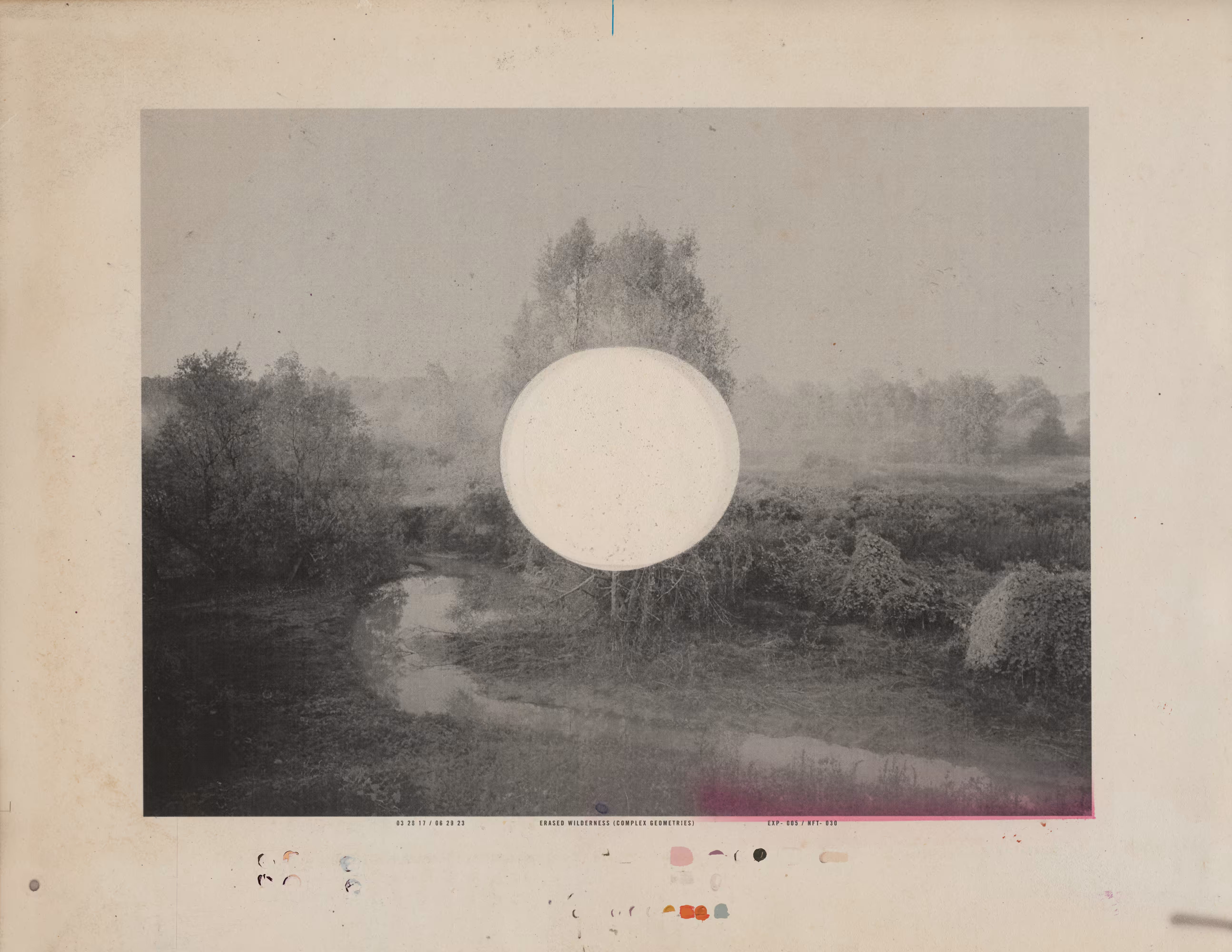 ERASED WILDERNESS (COMPLEX GEOMETRIES)