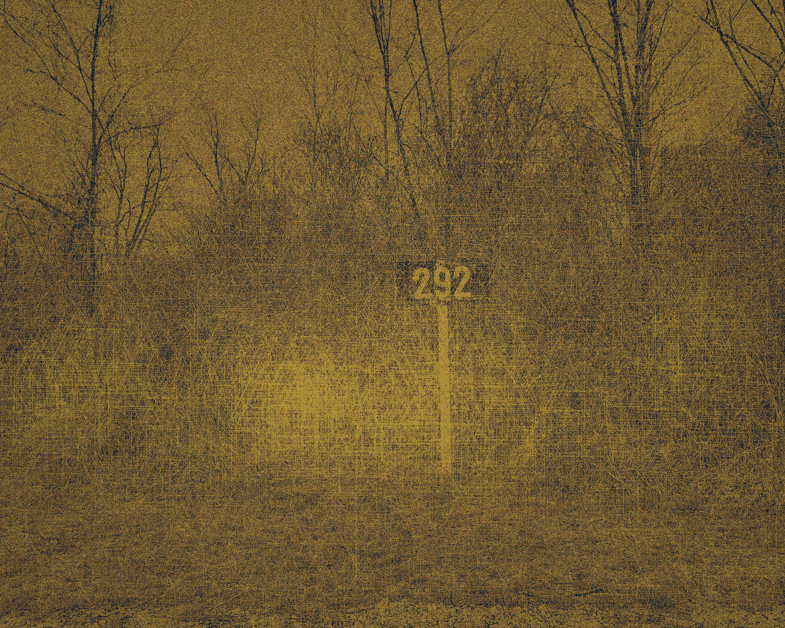 292