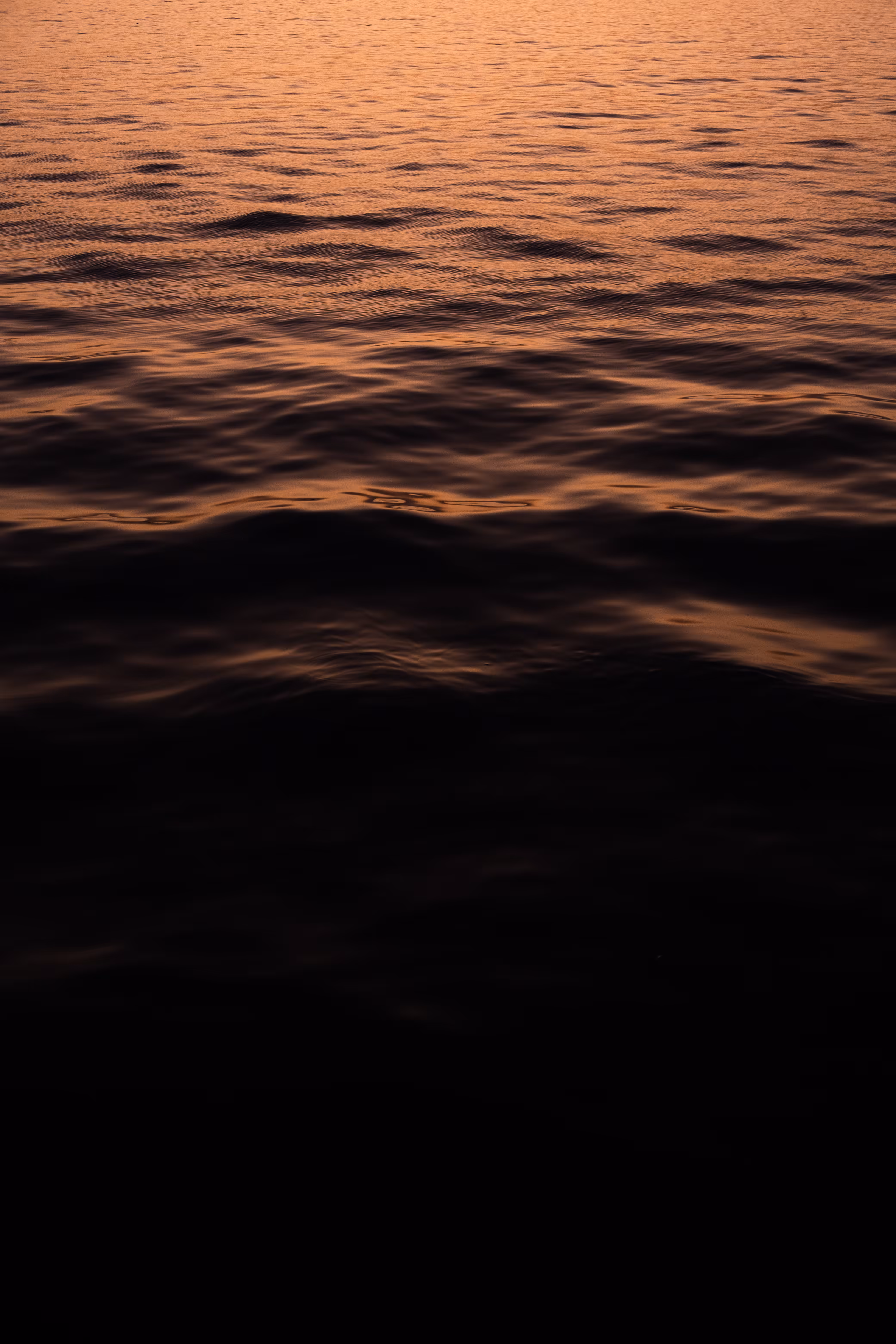 Color of leaving