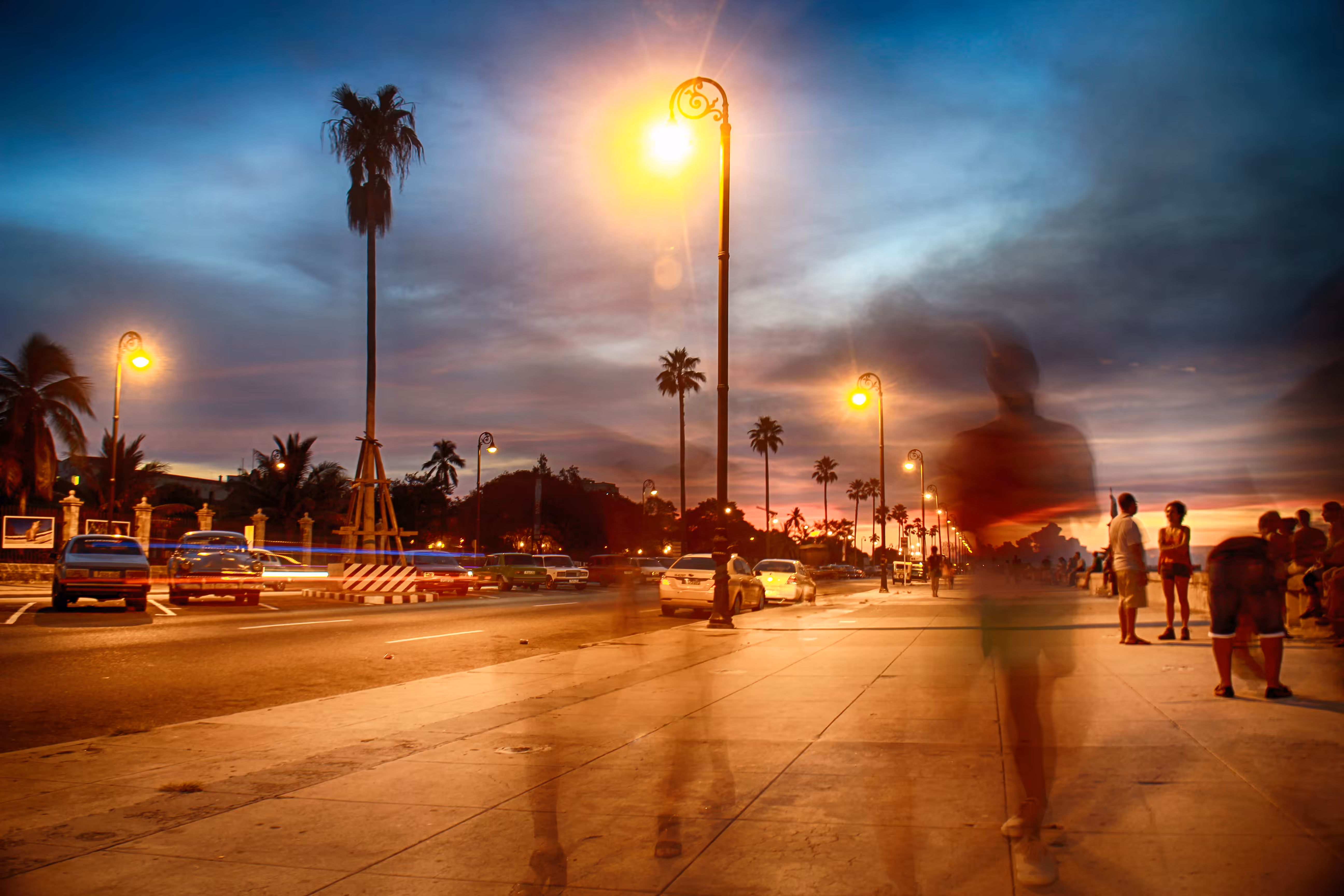 Malecón urbano (Red Forest)