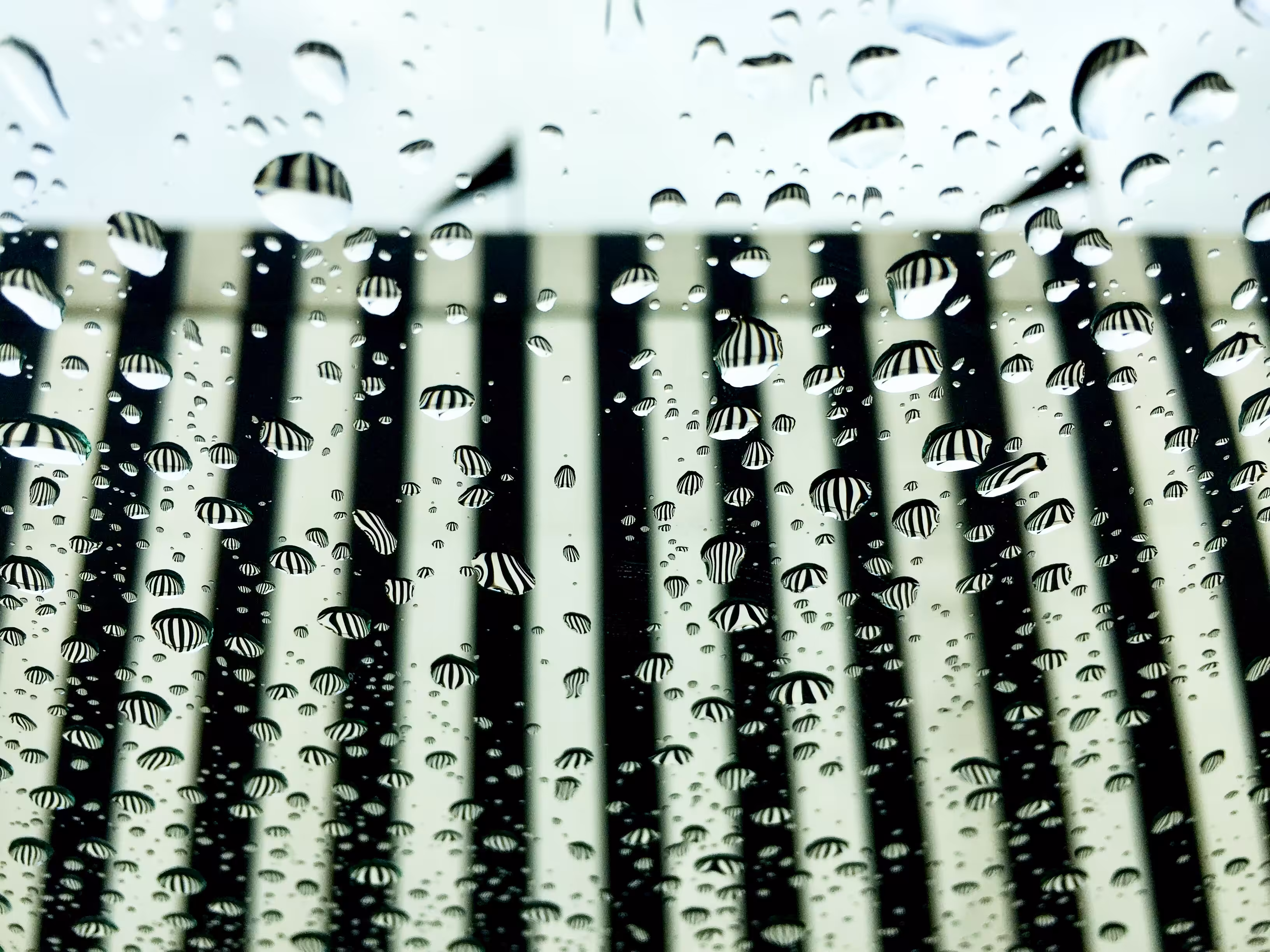 reflector