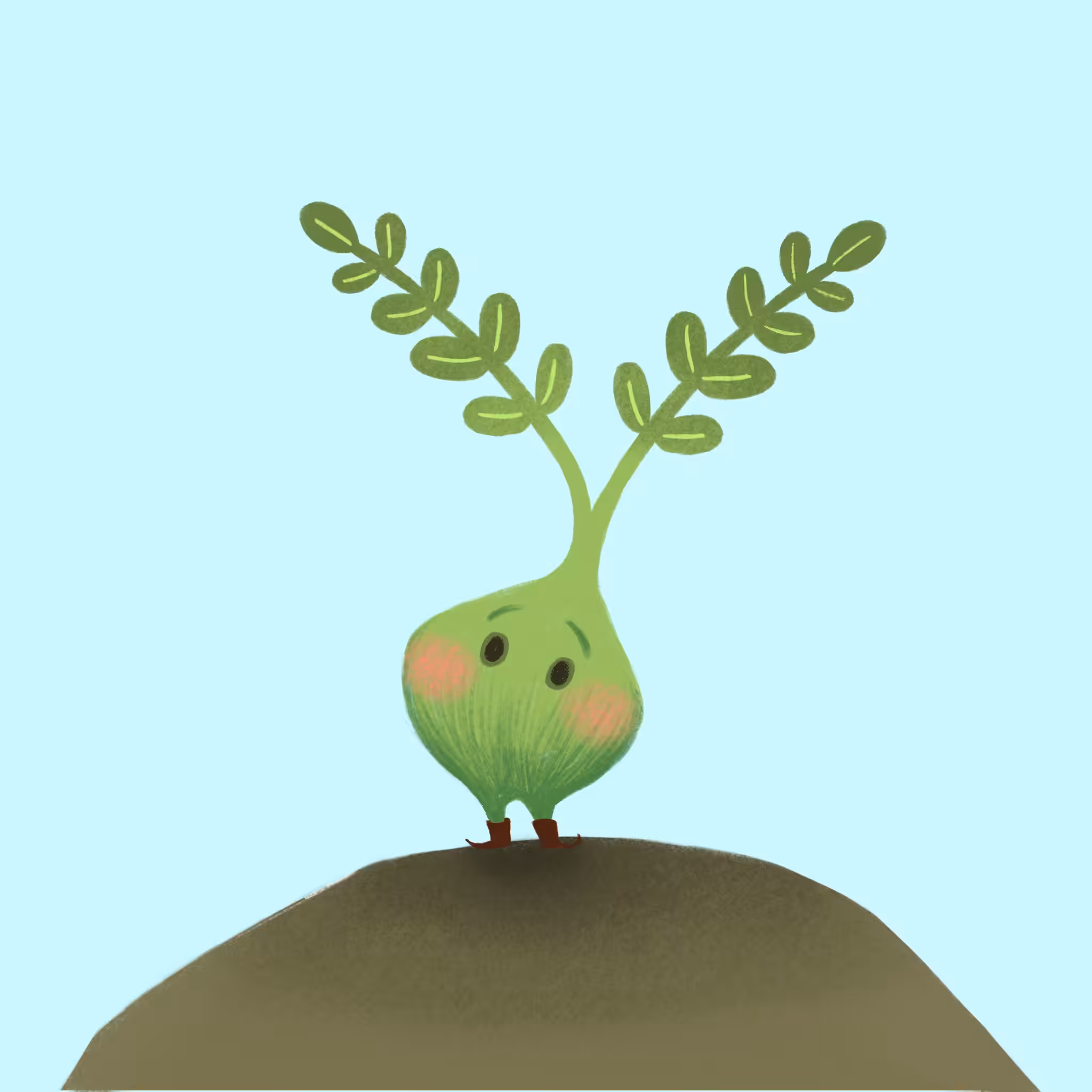 Wish seedling2