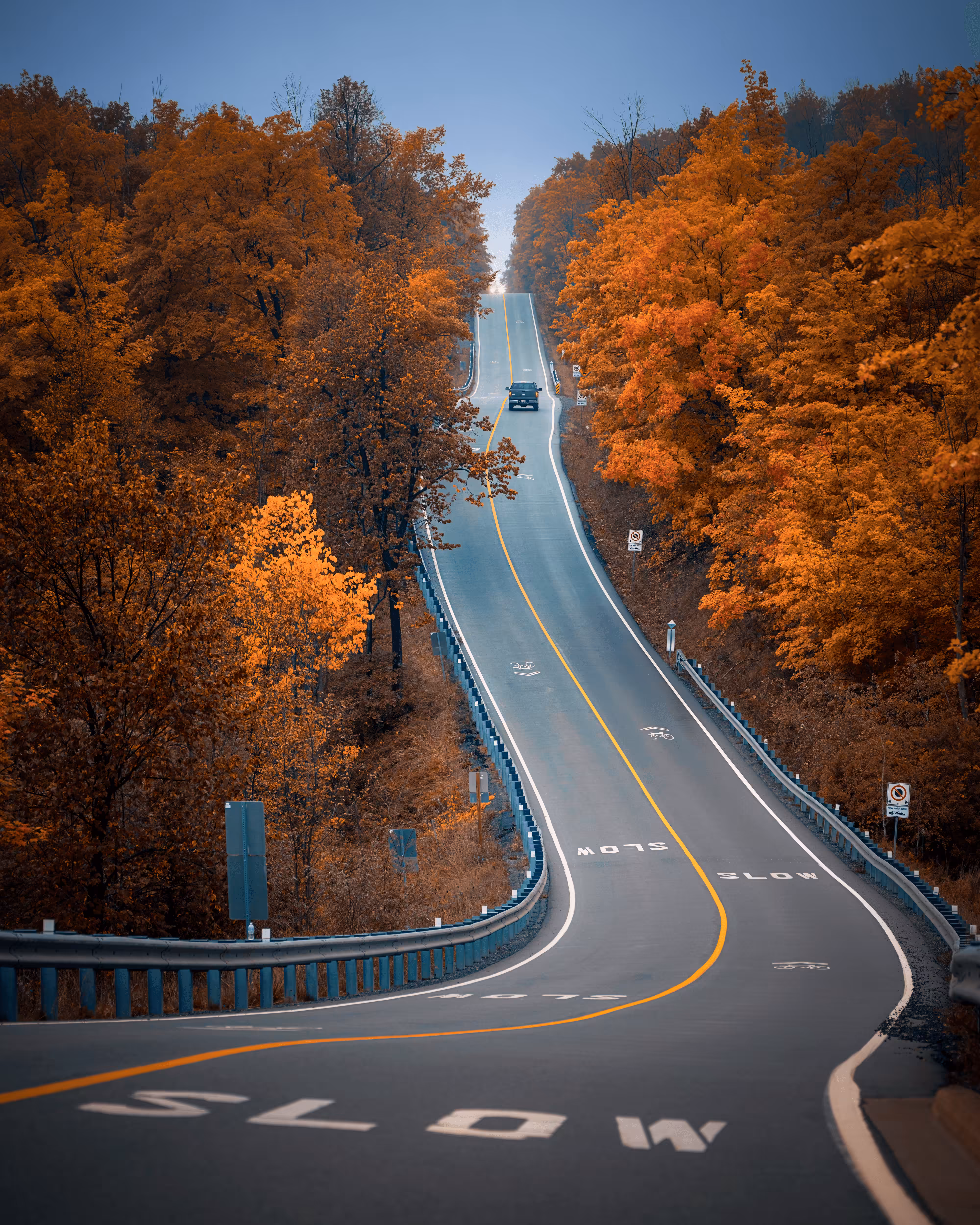 Autumn Fascination