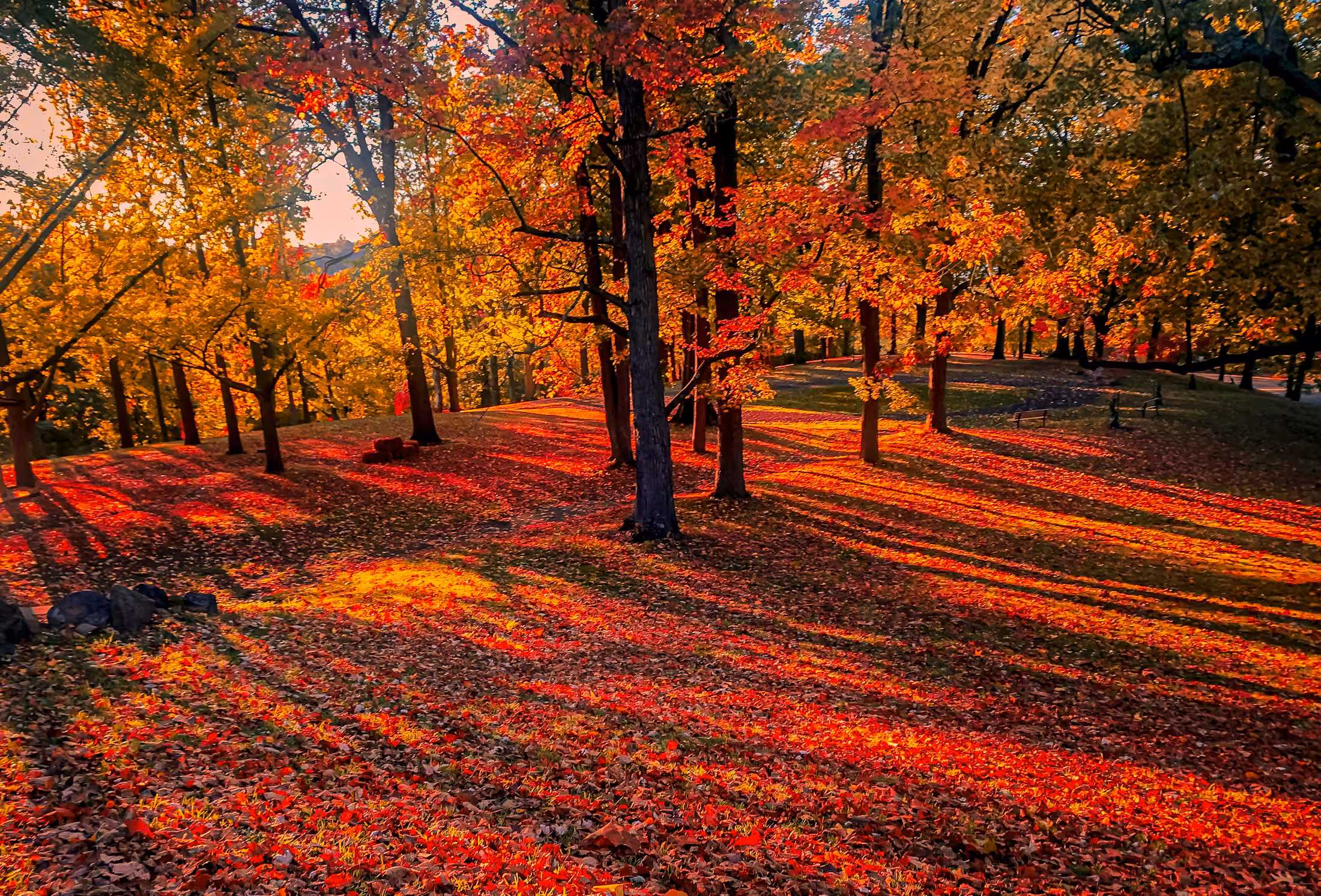 Autumn Fire!